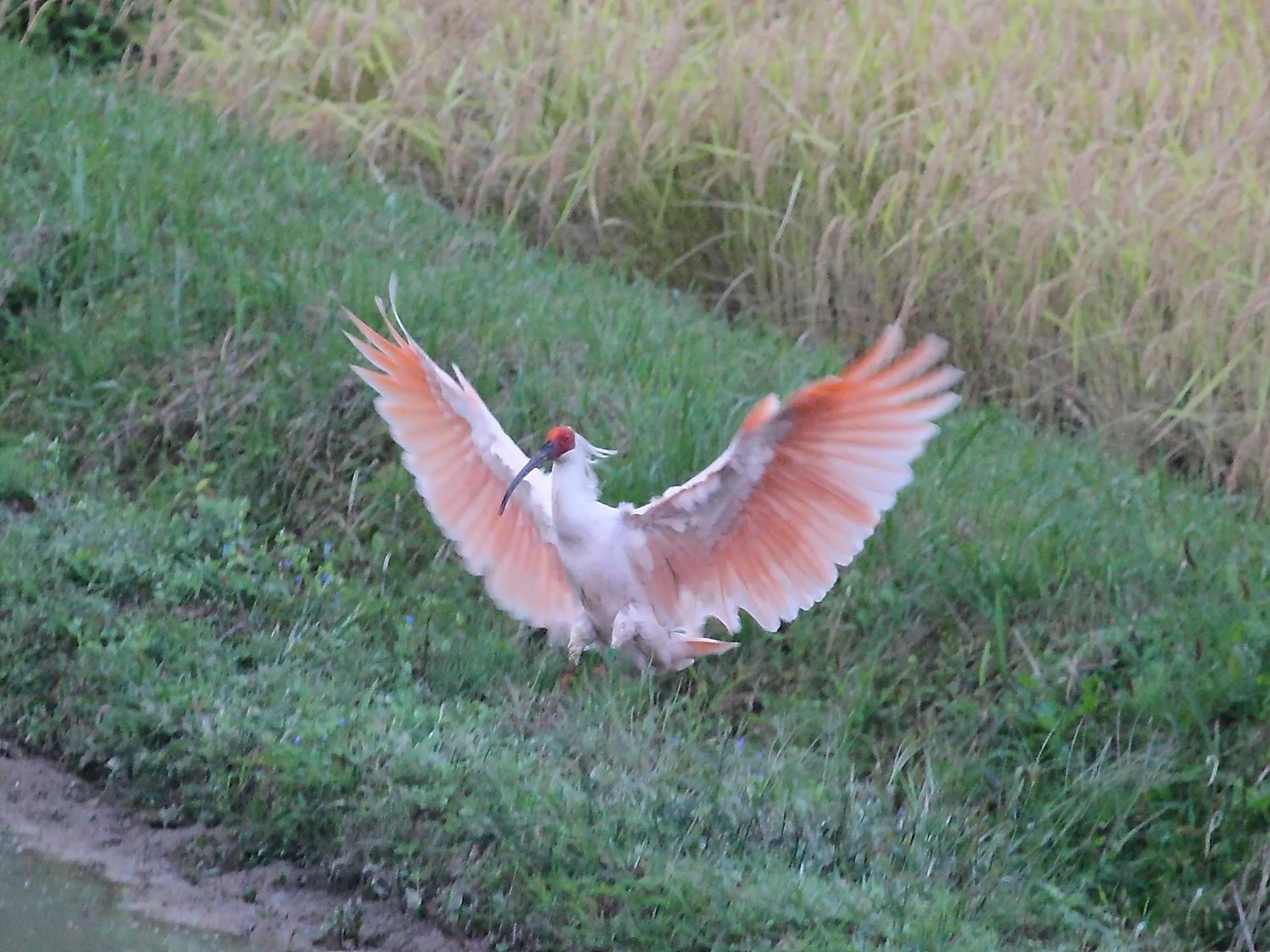 Off site in Fureaihouse Shiodu no Sato