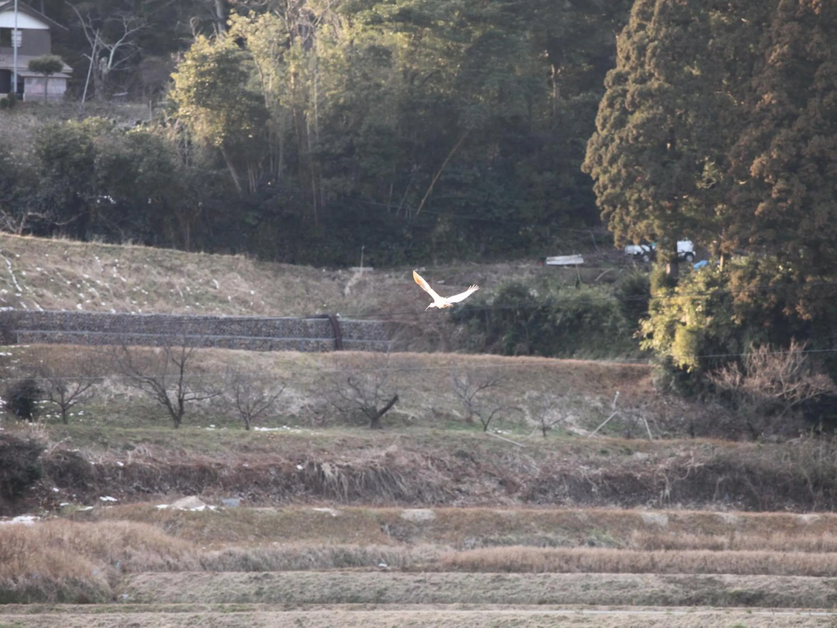 Off site in Fureaihouse Shiodu no Sato