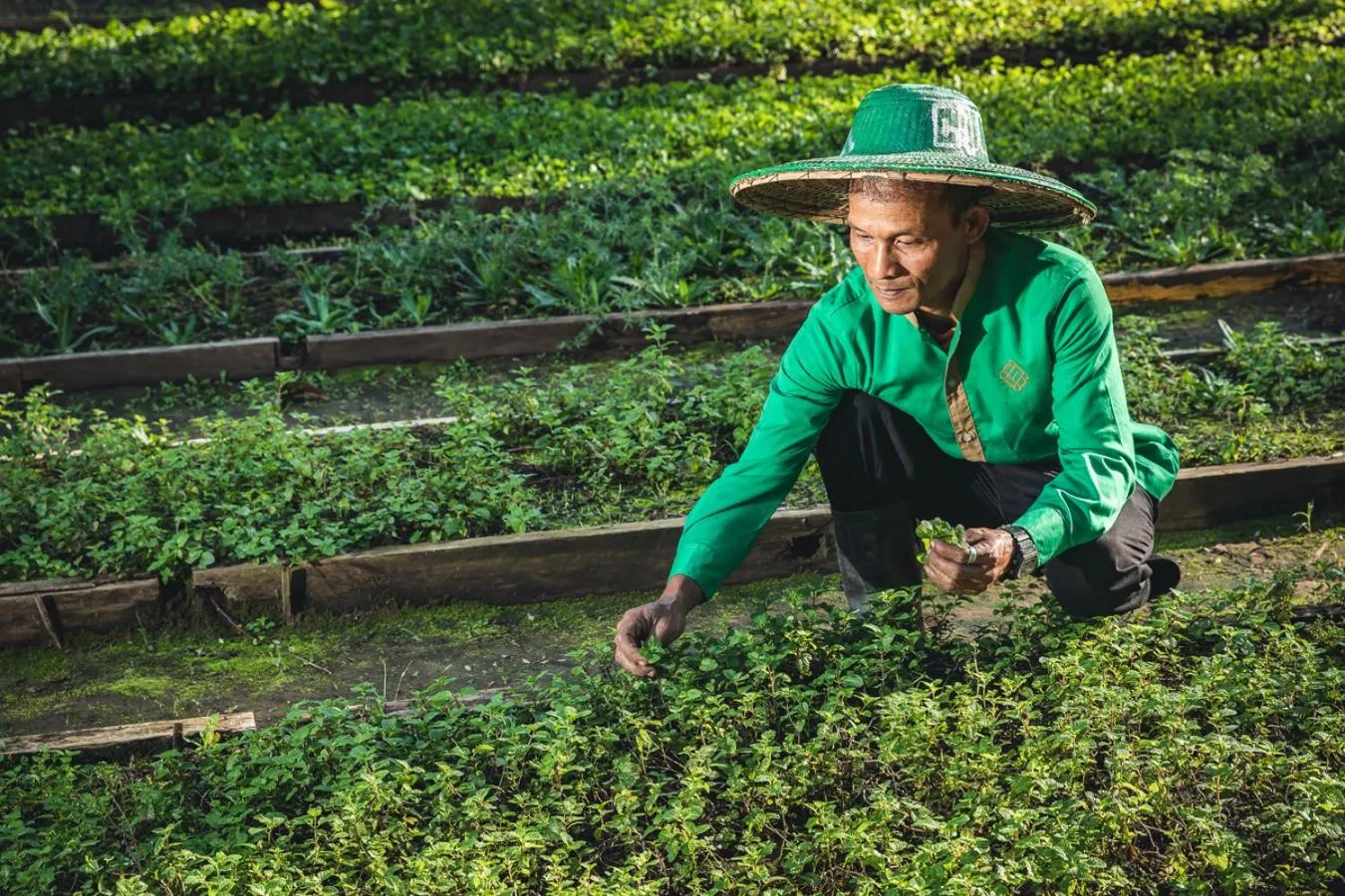 Restaurant/places to eat in Eskala Hotels and Resorts