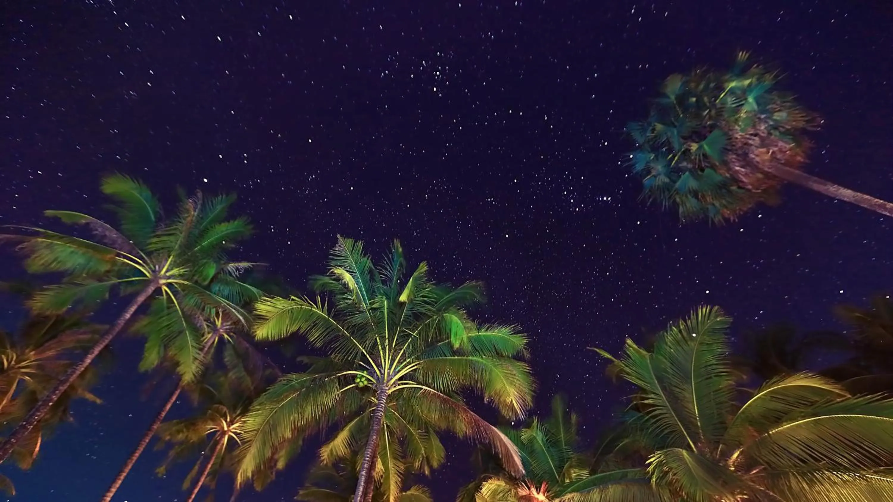 View (from property/room) in Eskala Hotels and Resorts