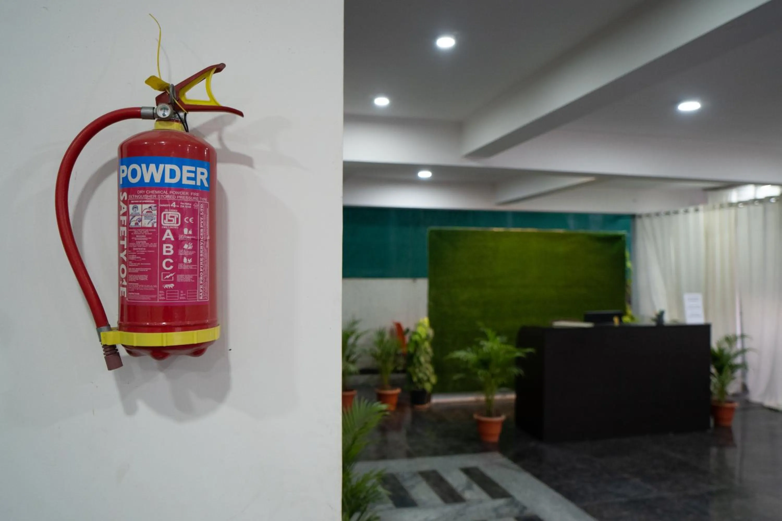 Yellow Bells Gachibowli