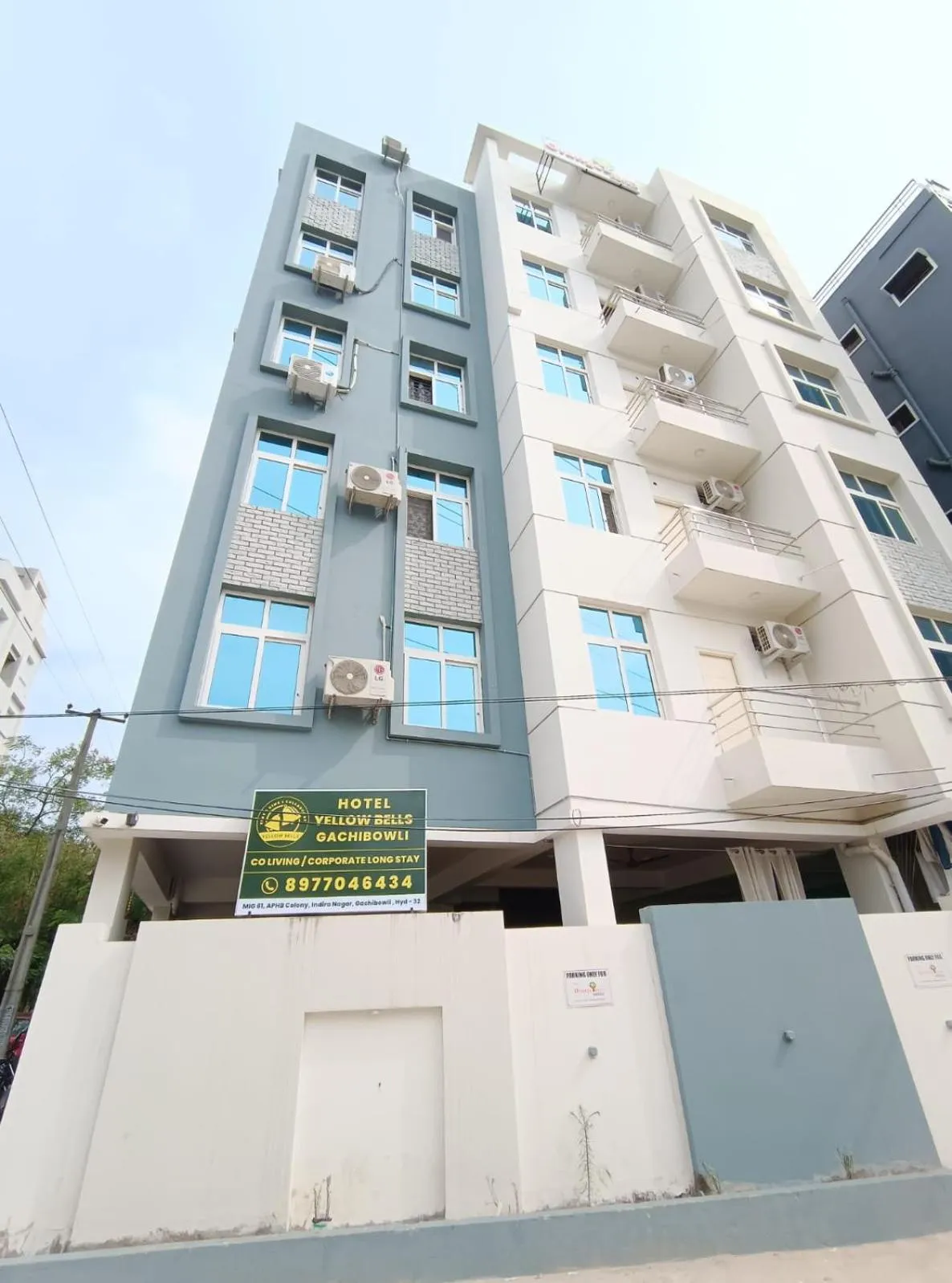 Yellow Bells Gachibowli