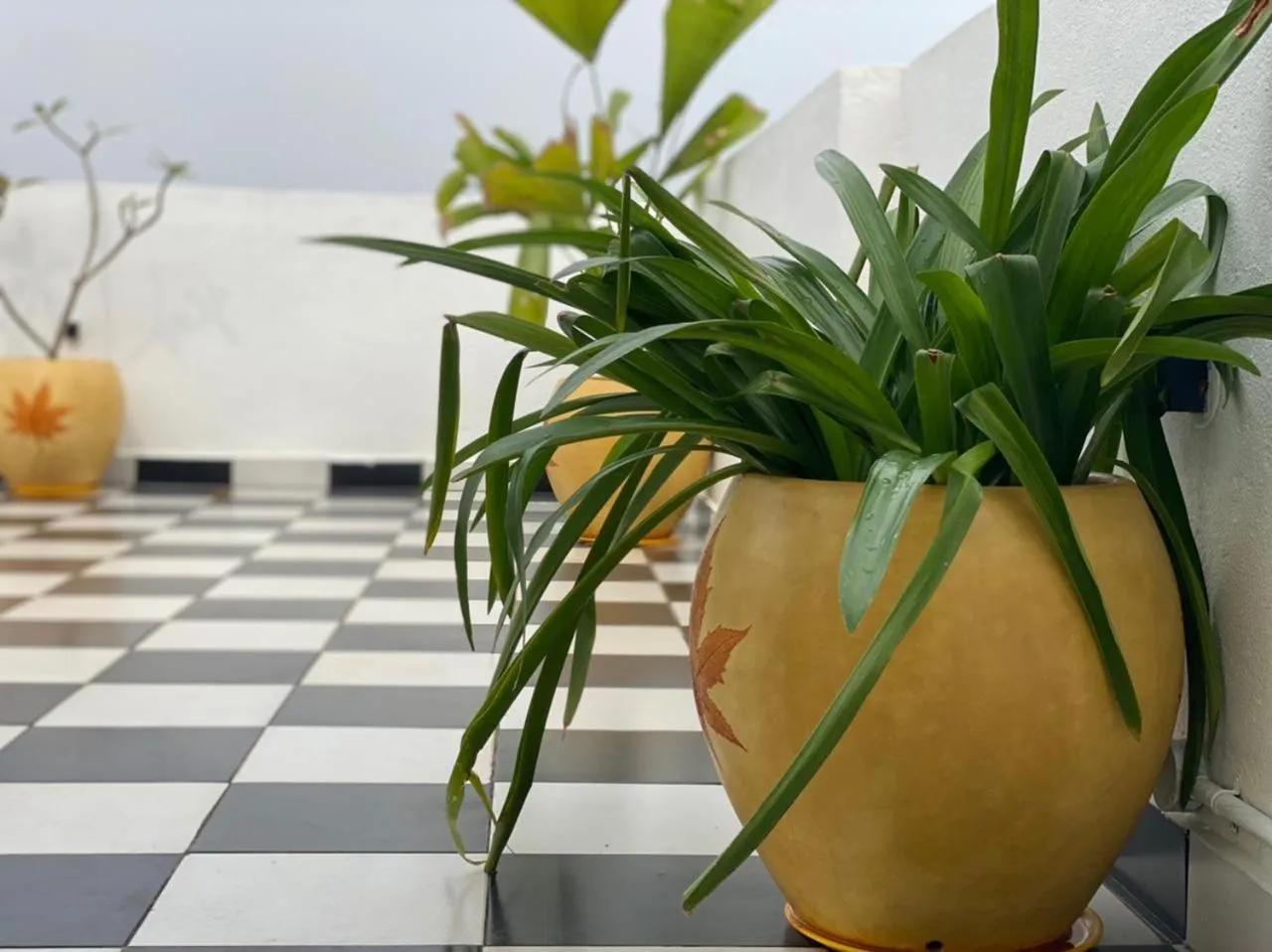 Day in Le Poshe Luxury - TIE