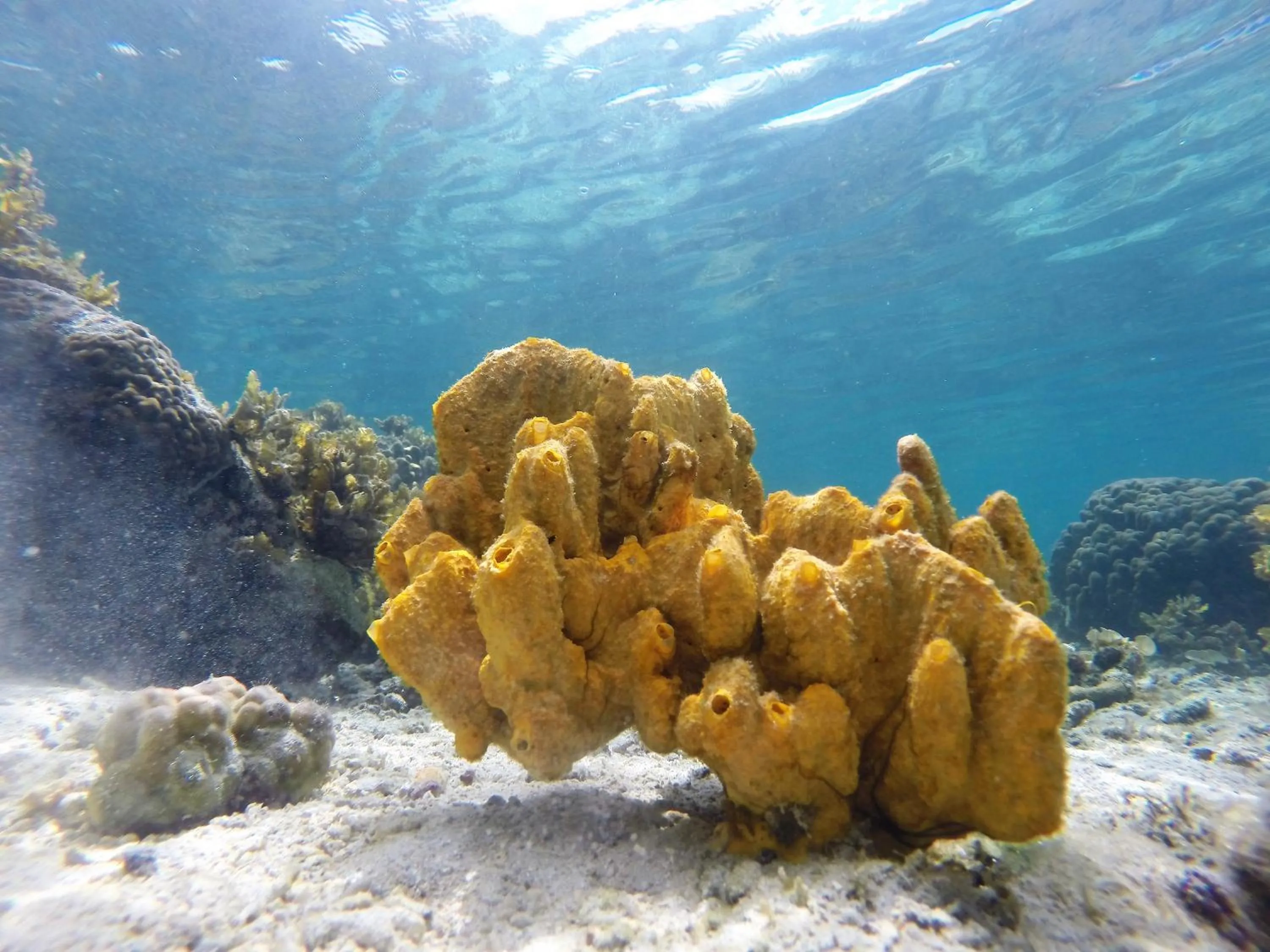 Off site in Ausan Beach Front Cottages