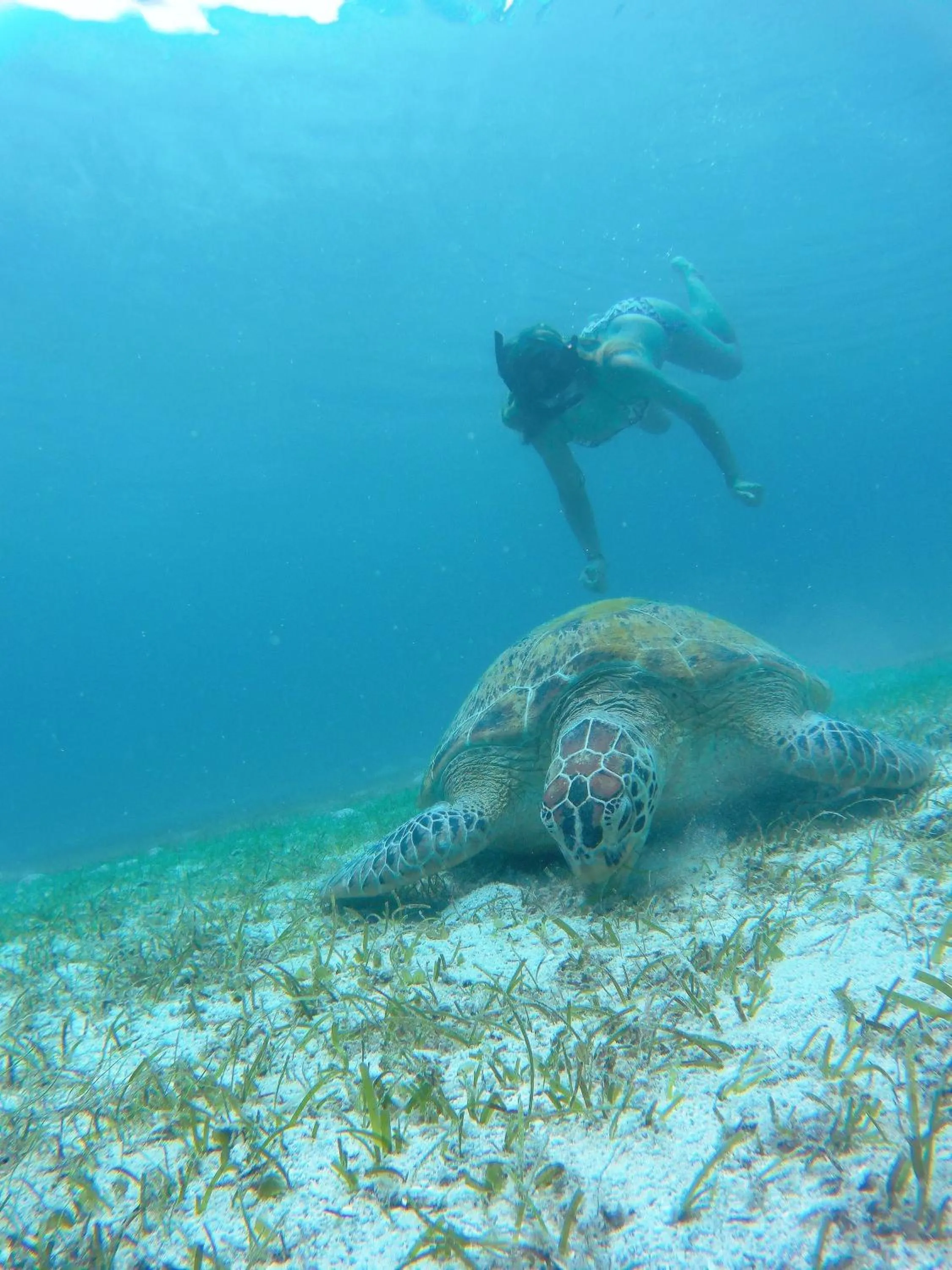 Off site in Ausan Beach Front Cottages