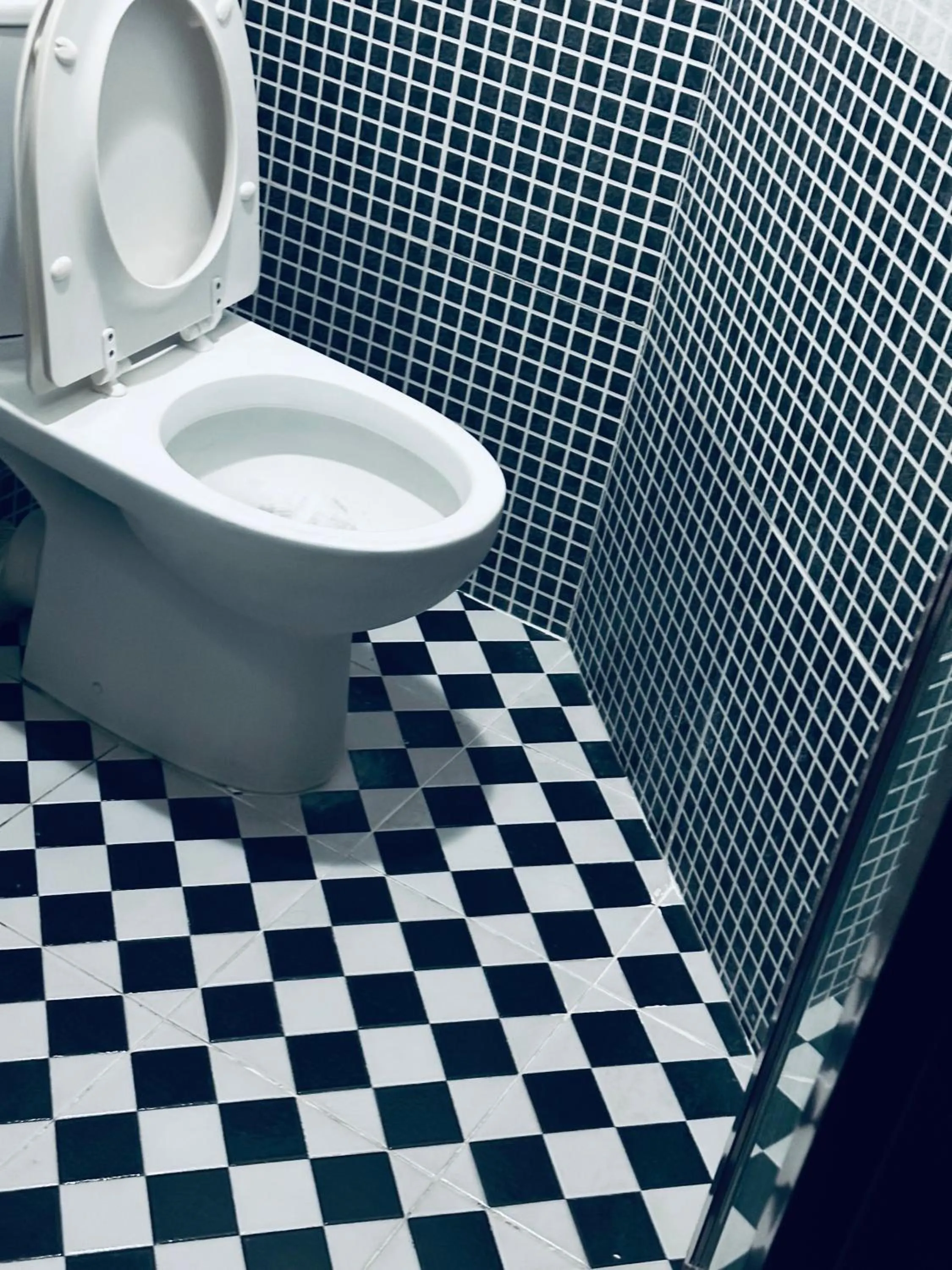 KATHMANDU GUEST HOUSE