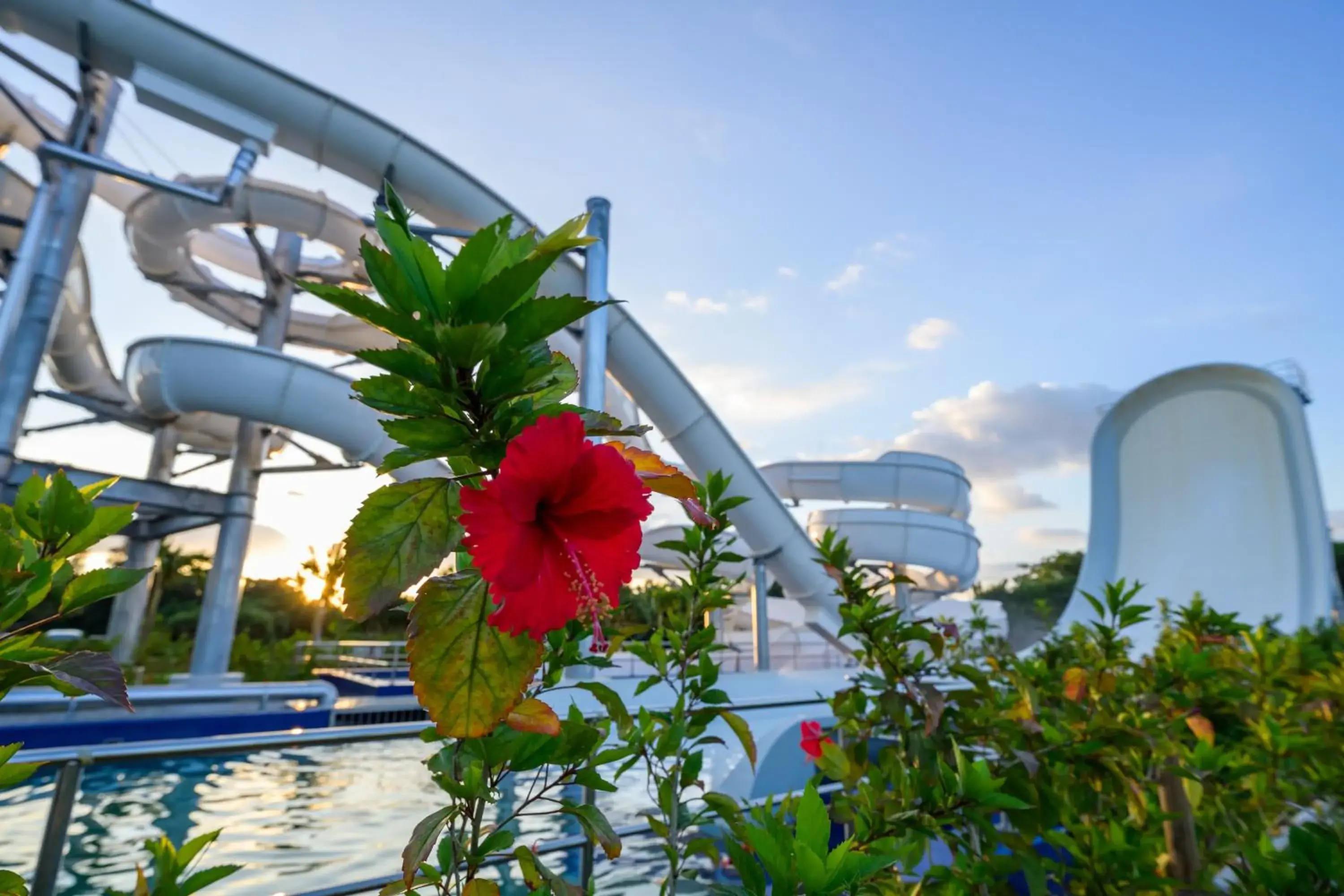 Swimming pool in Grand Mercure Okinawa Cape Zanpa Resort Swimming pool in Grand Mercure Okinawa Cape Zanpa Resort