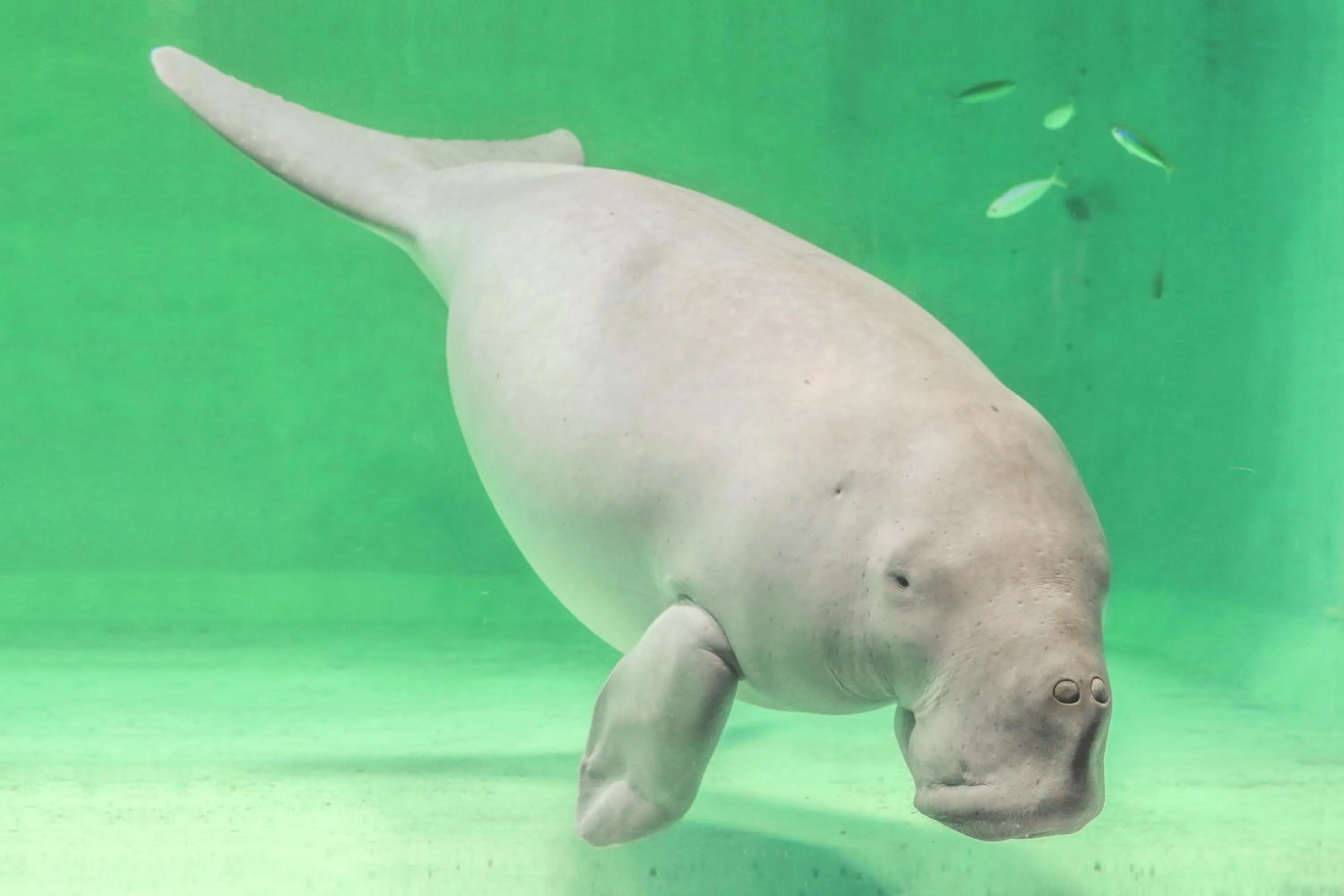 Nearby landmark in Grand Mercure Ise-shima Resort & Spa