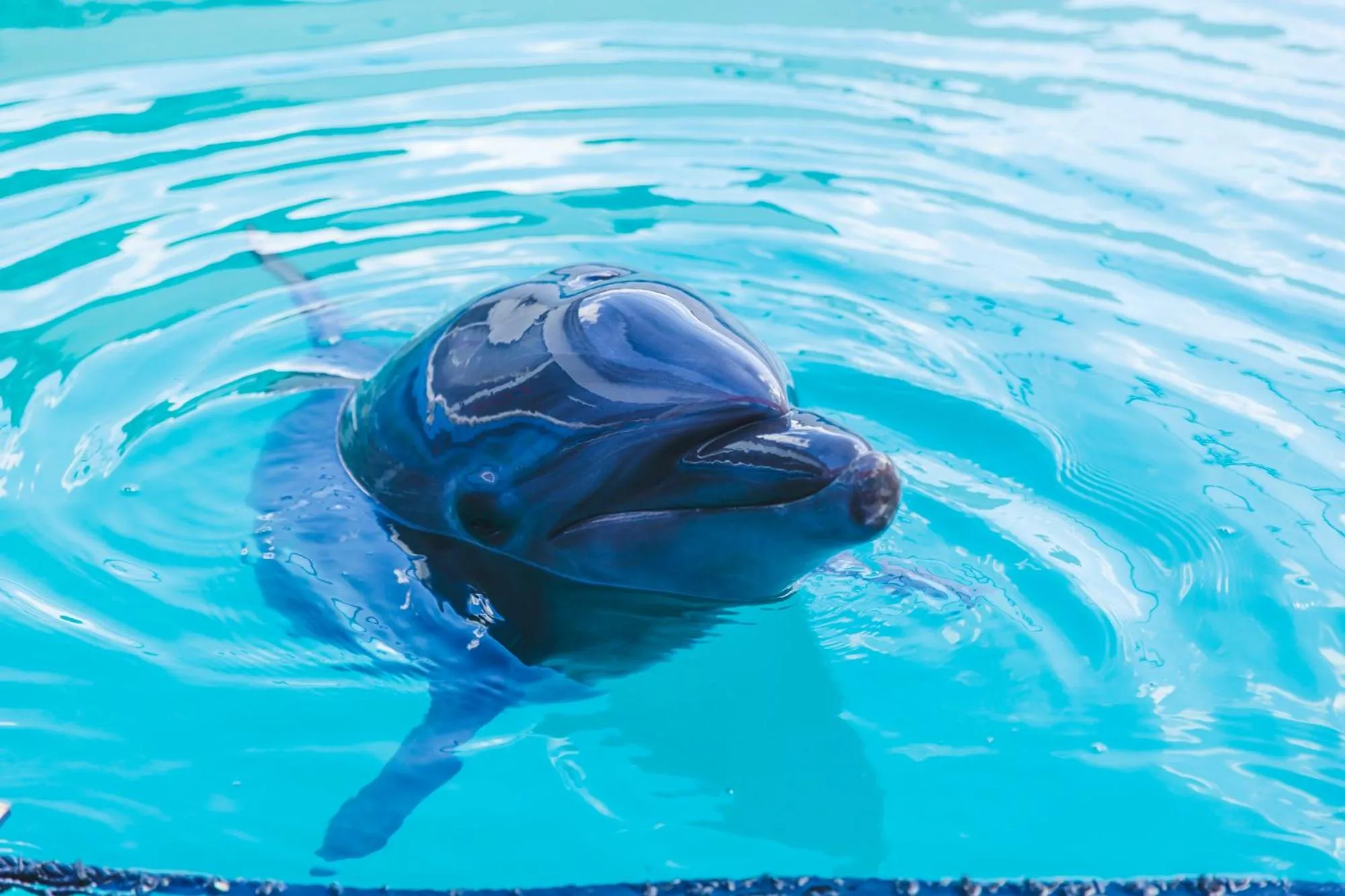 Nearby landmark in Grand Mercure Ise-shima Resort & Spa