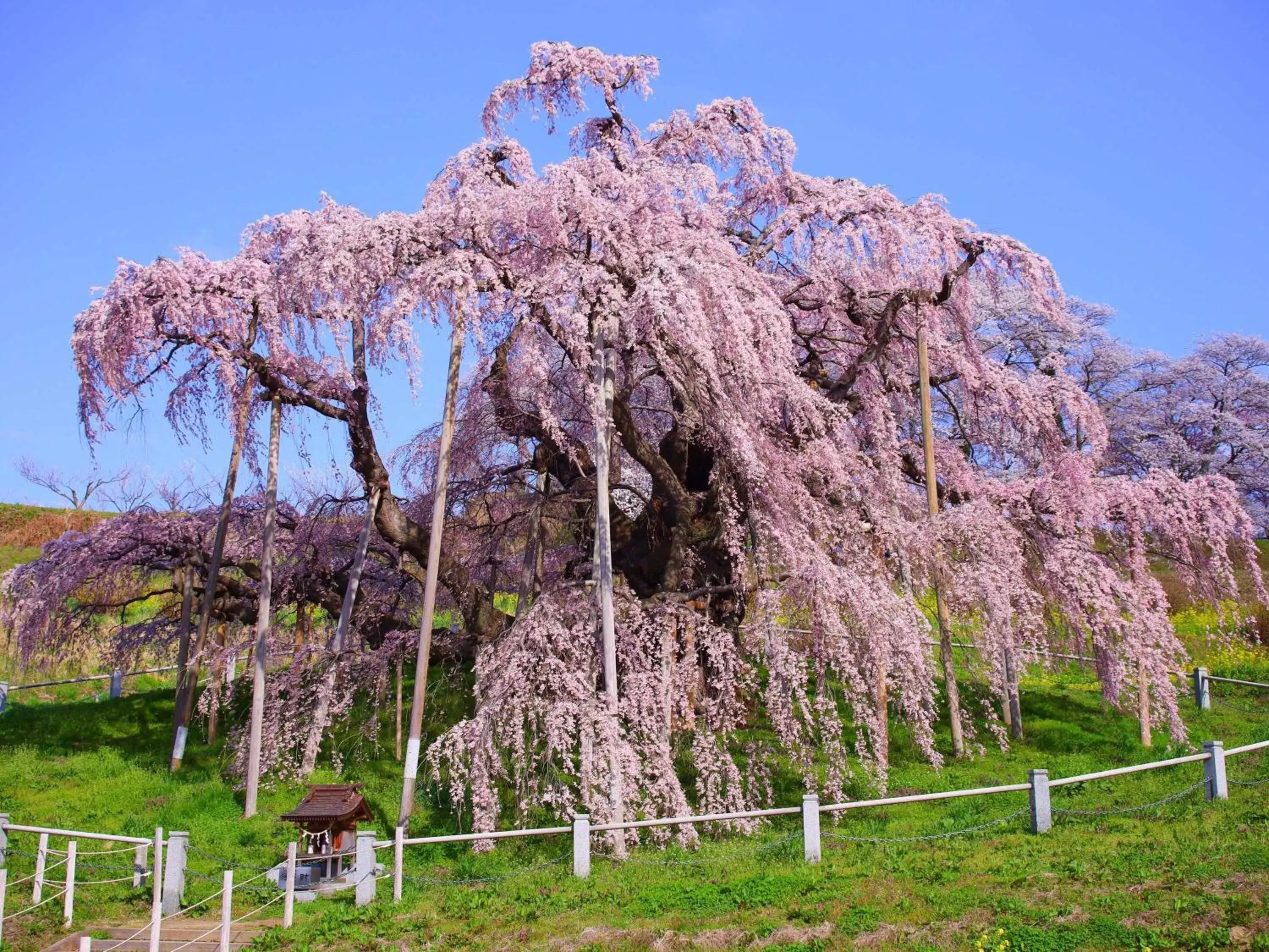 Property building in Mercure Urabandai Resort & Spa Property building in Mercure Urabandai Resort & Spa