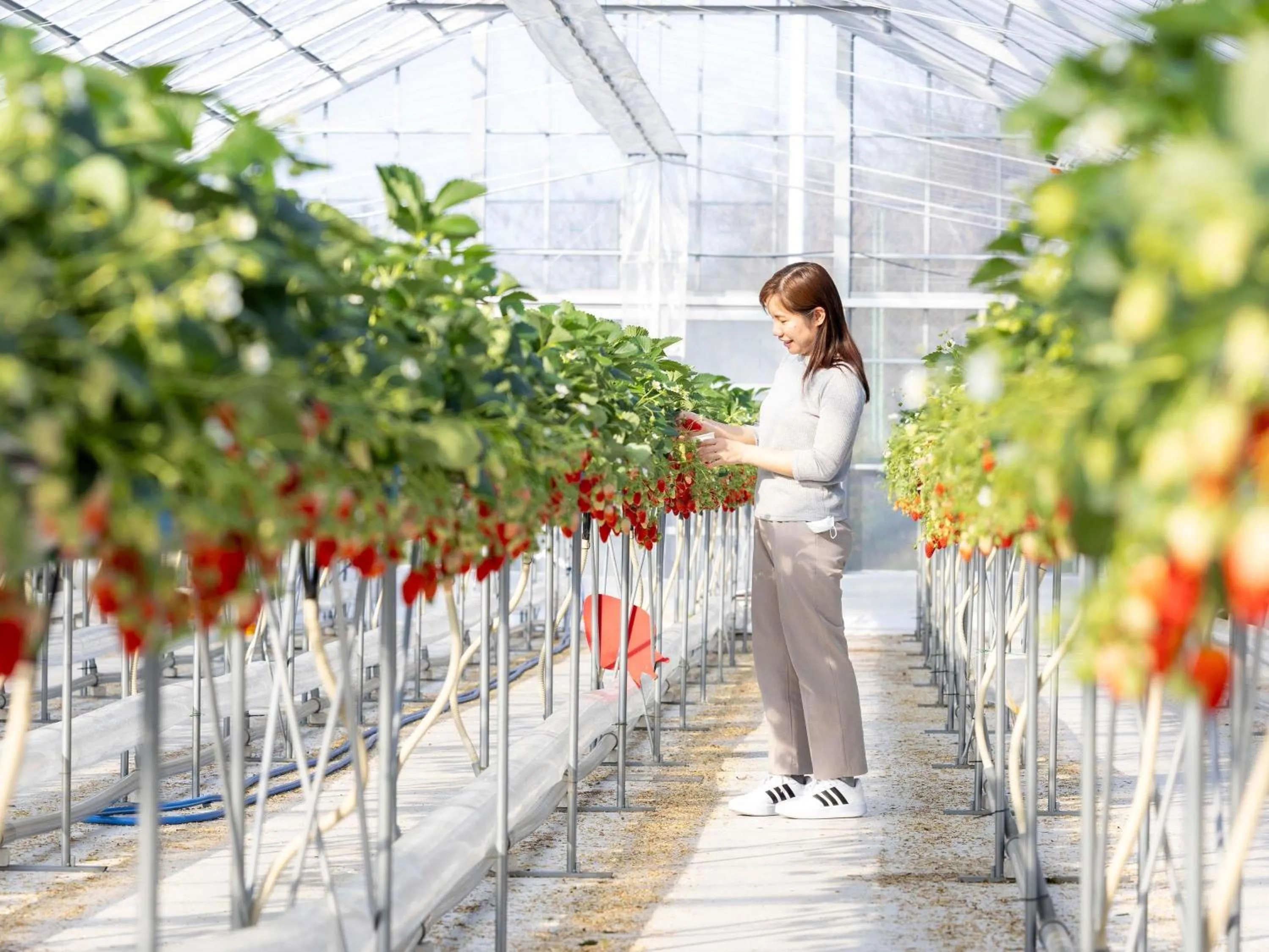 Property building in Mercure Kyoto Miyazu Resort & Spa