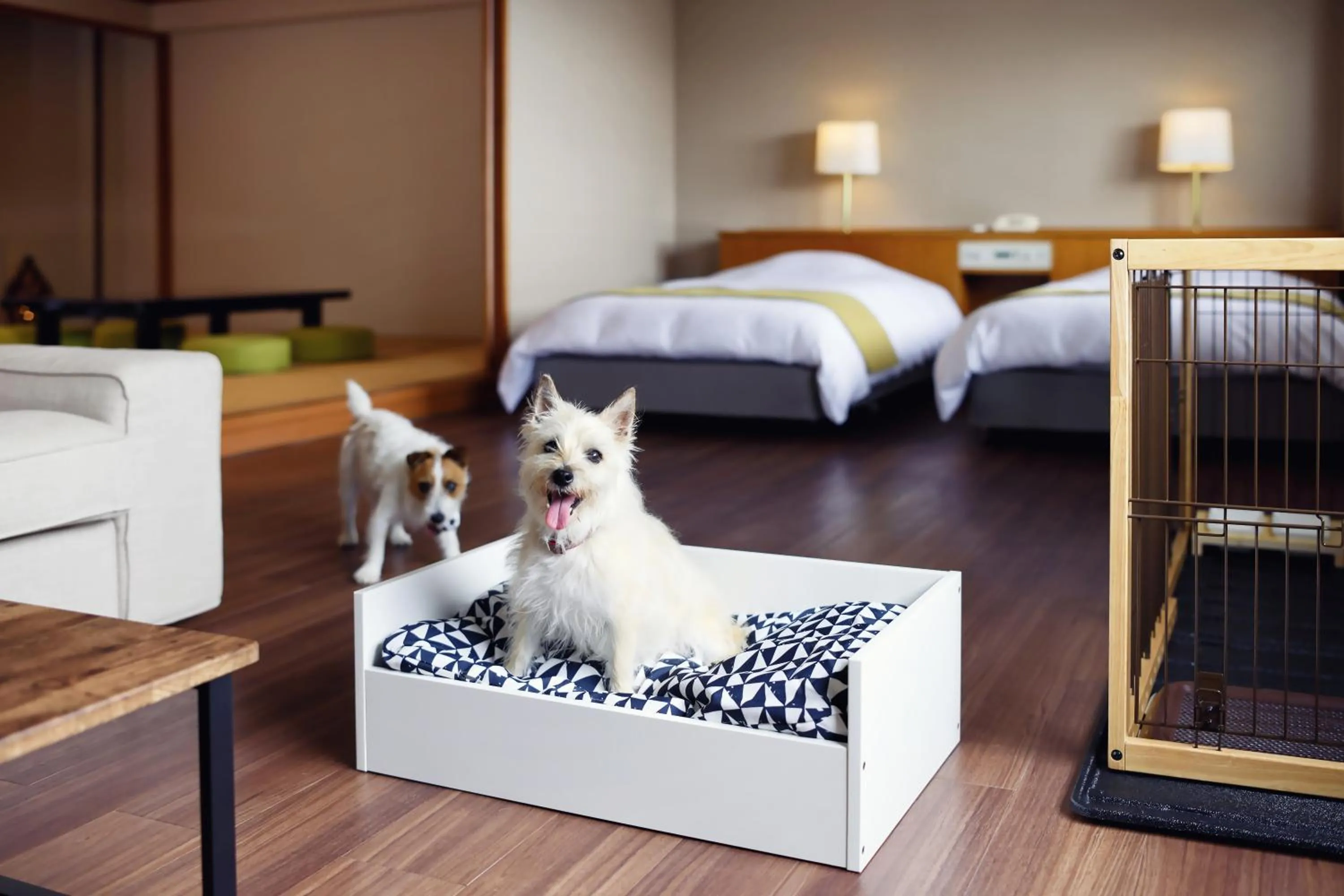 Photo of the whole room, Bed in Grand Mercure Minamiboso Resort & Spa