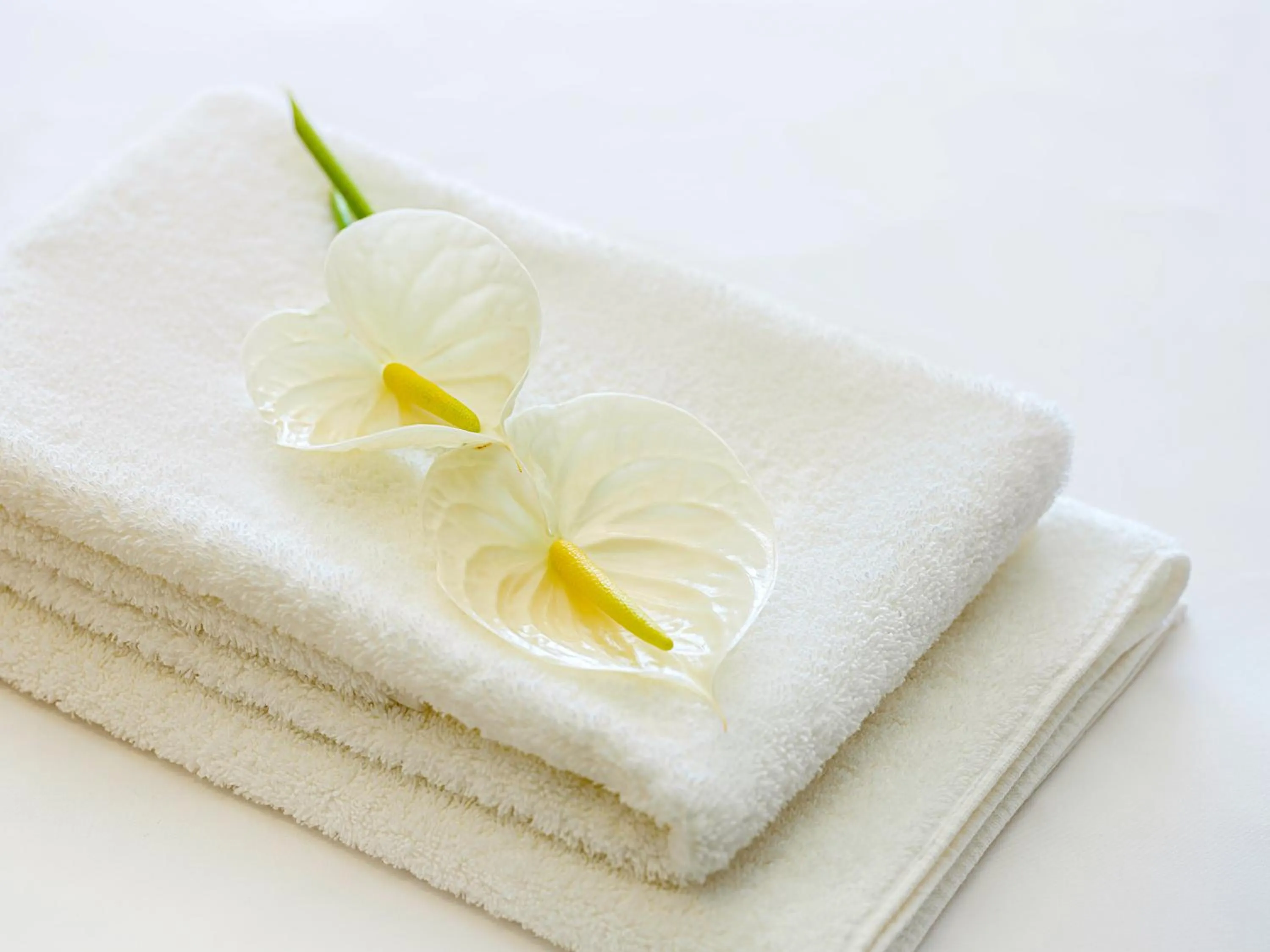 towels in Mercure Wakayama Kushimoto Resort & Spa