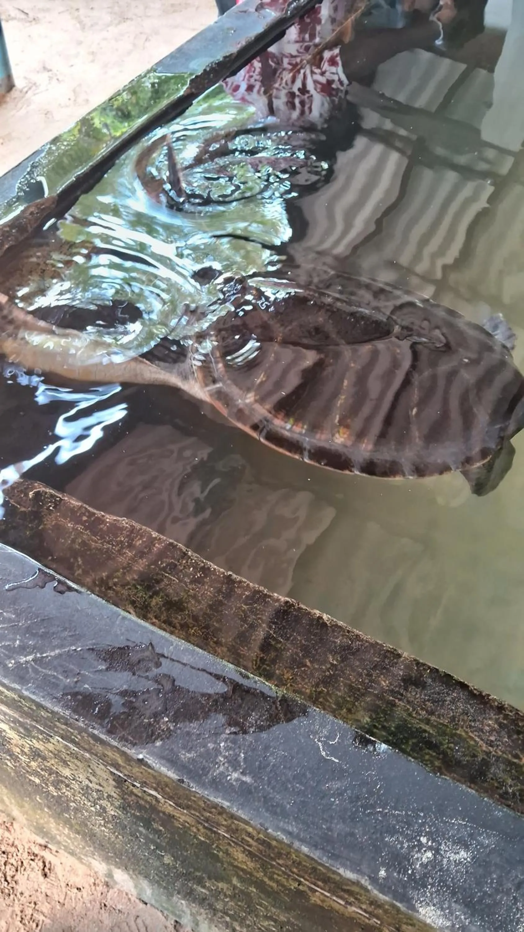 RKO Villa27 - Unawatuna