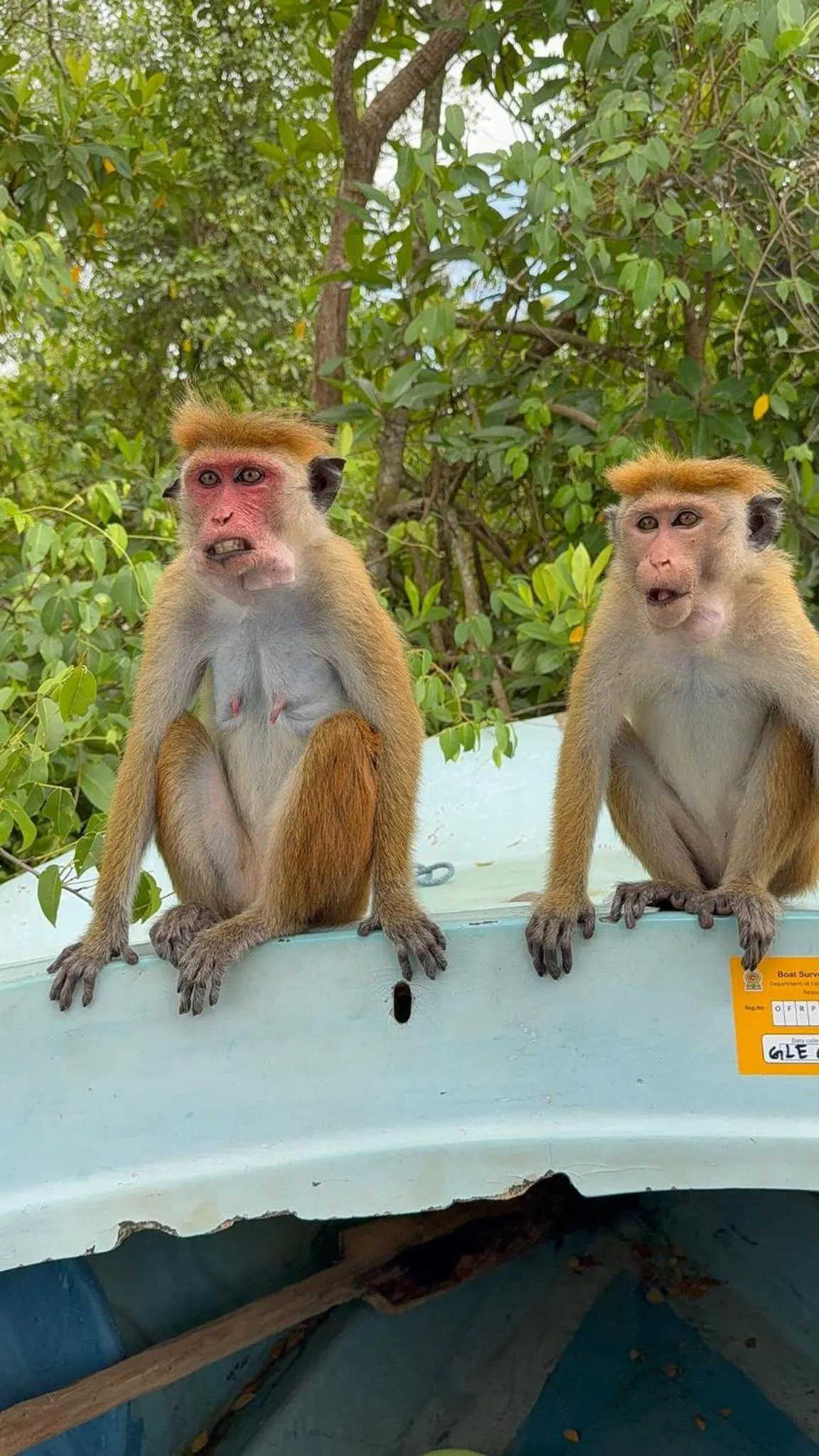 RKO Villa27 - Unawatuna