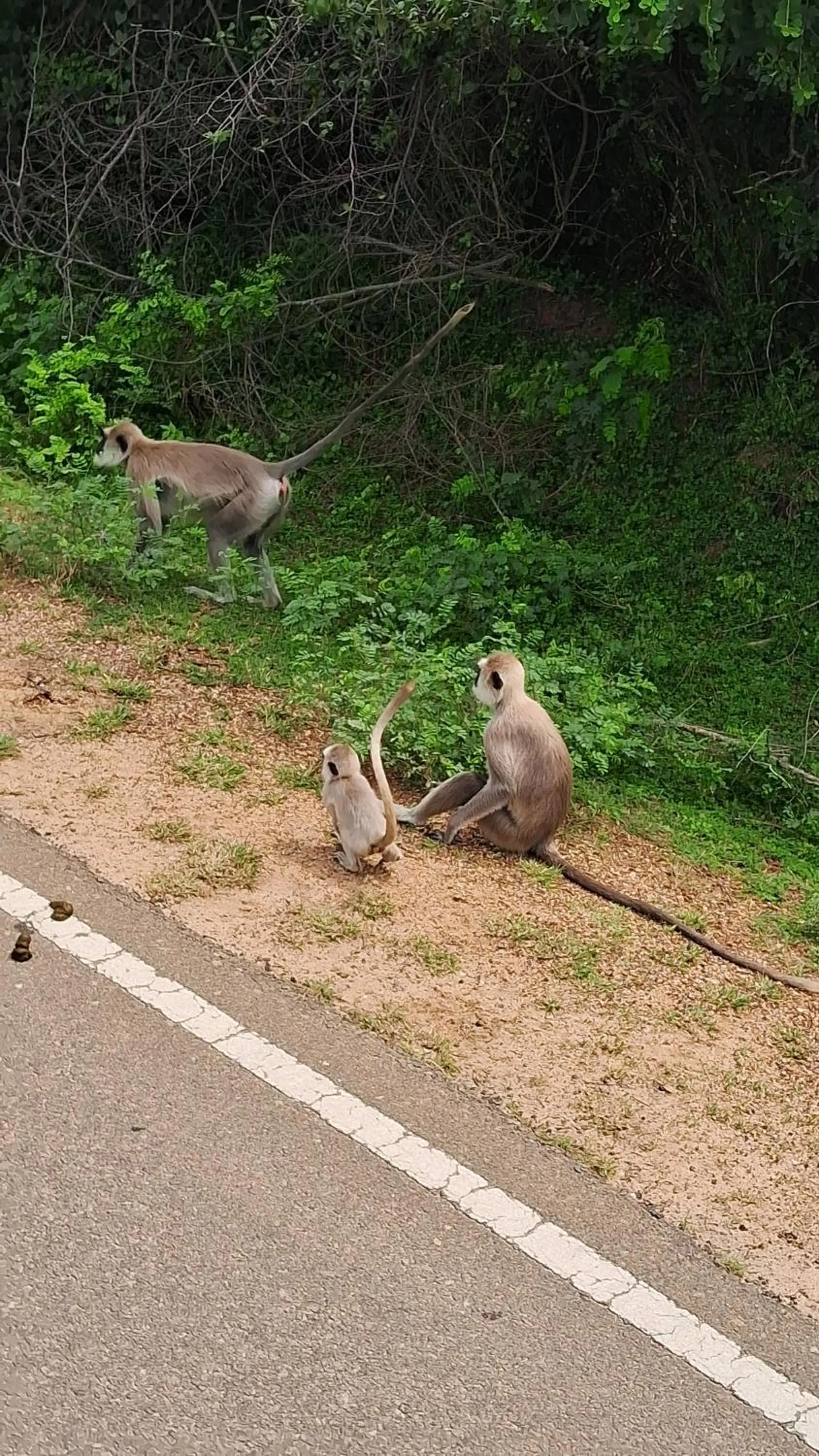 RKO Villa27 - Unawatuna