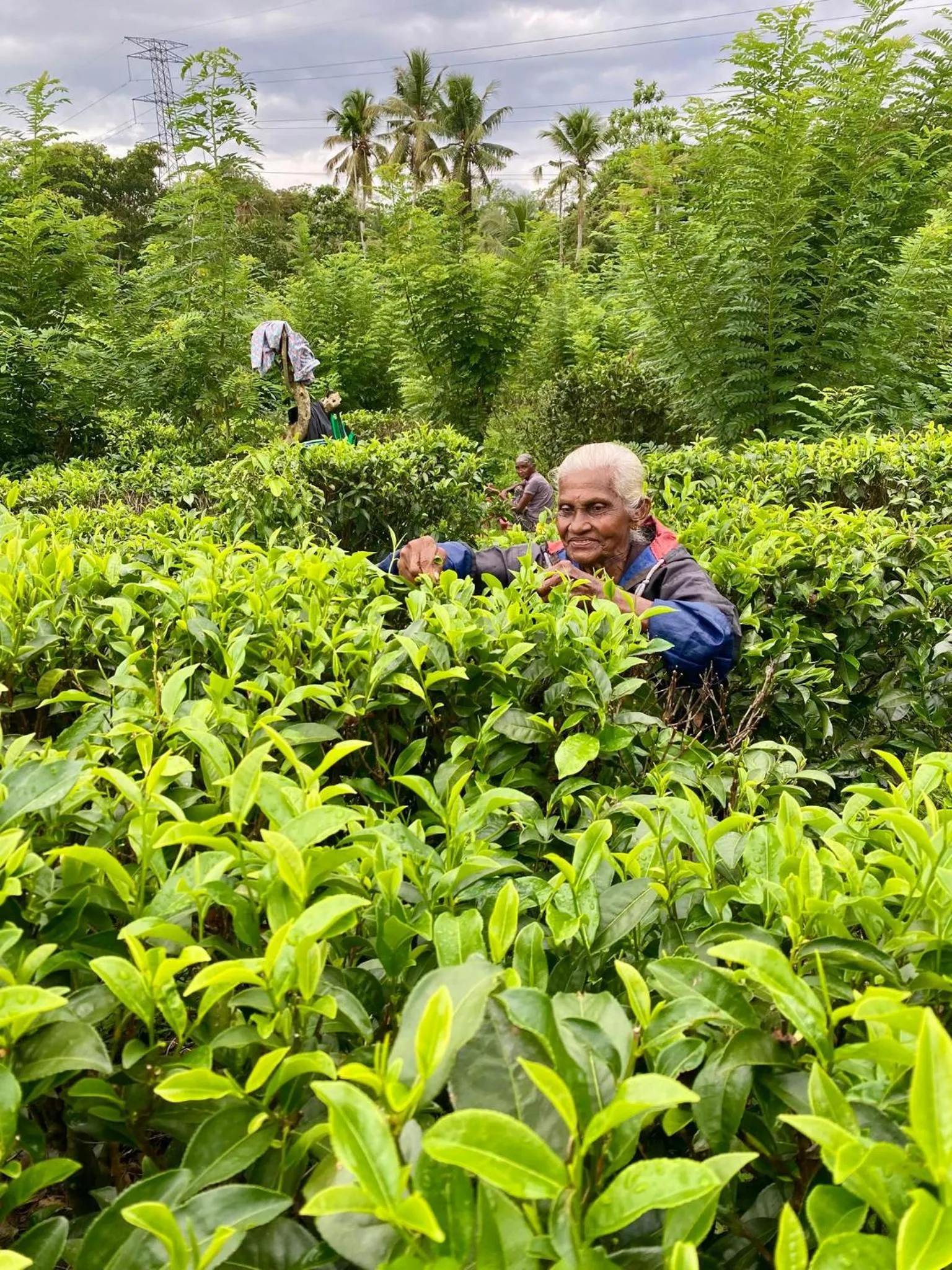 RKO Villa27 - Unawatuna