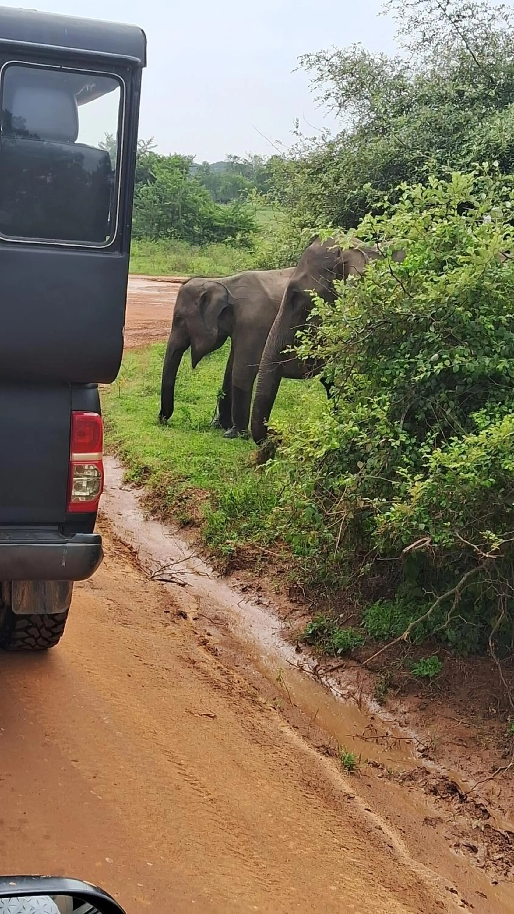 RKO Villa27 - Unawatuna