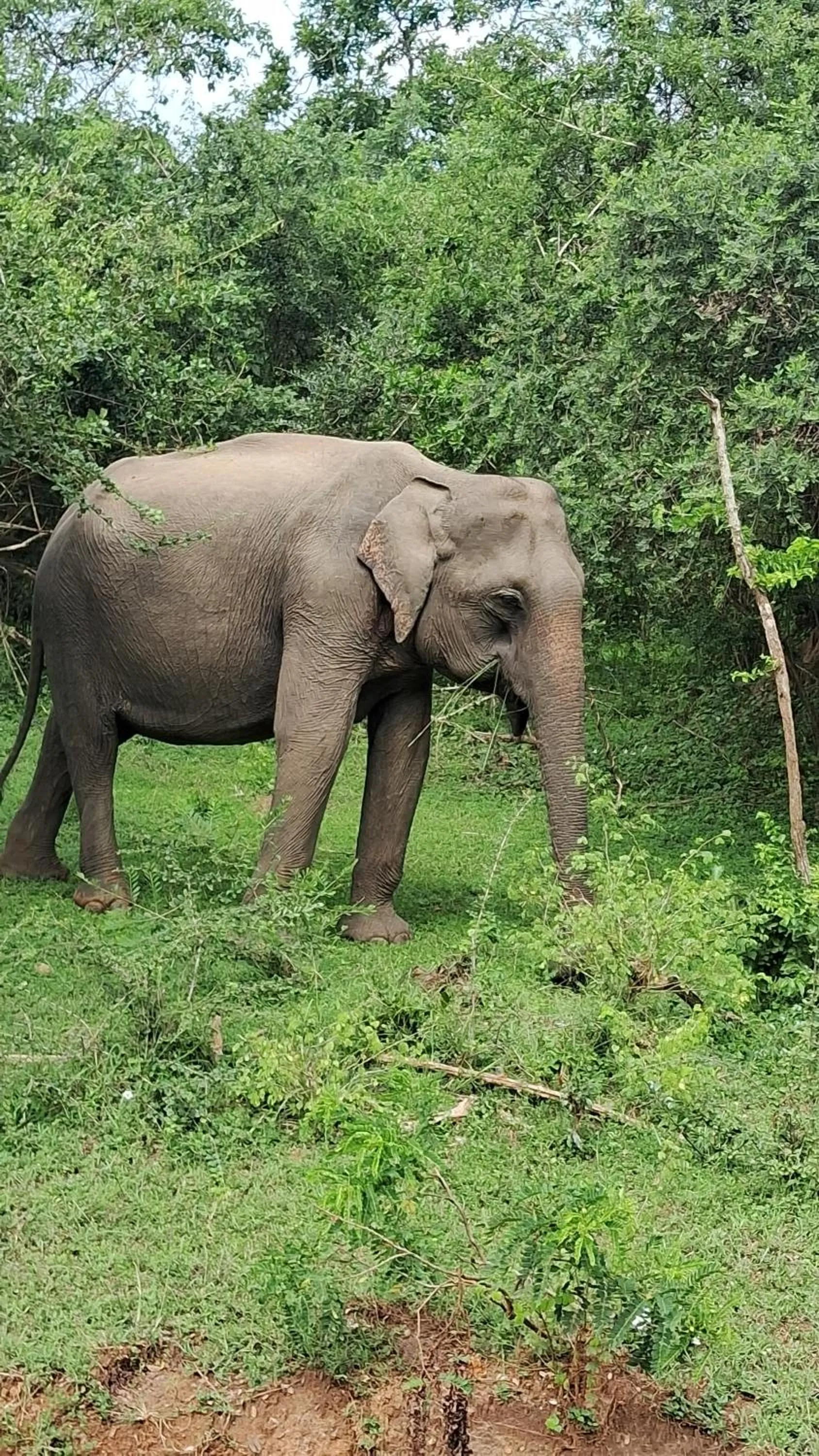 RKO Villa27 - Unawatuna