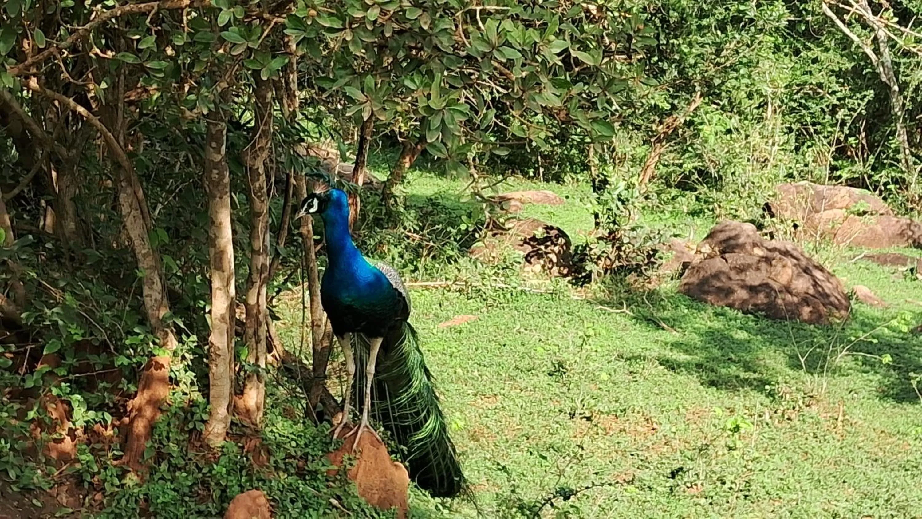 RKO Villa27 - Unawatuna