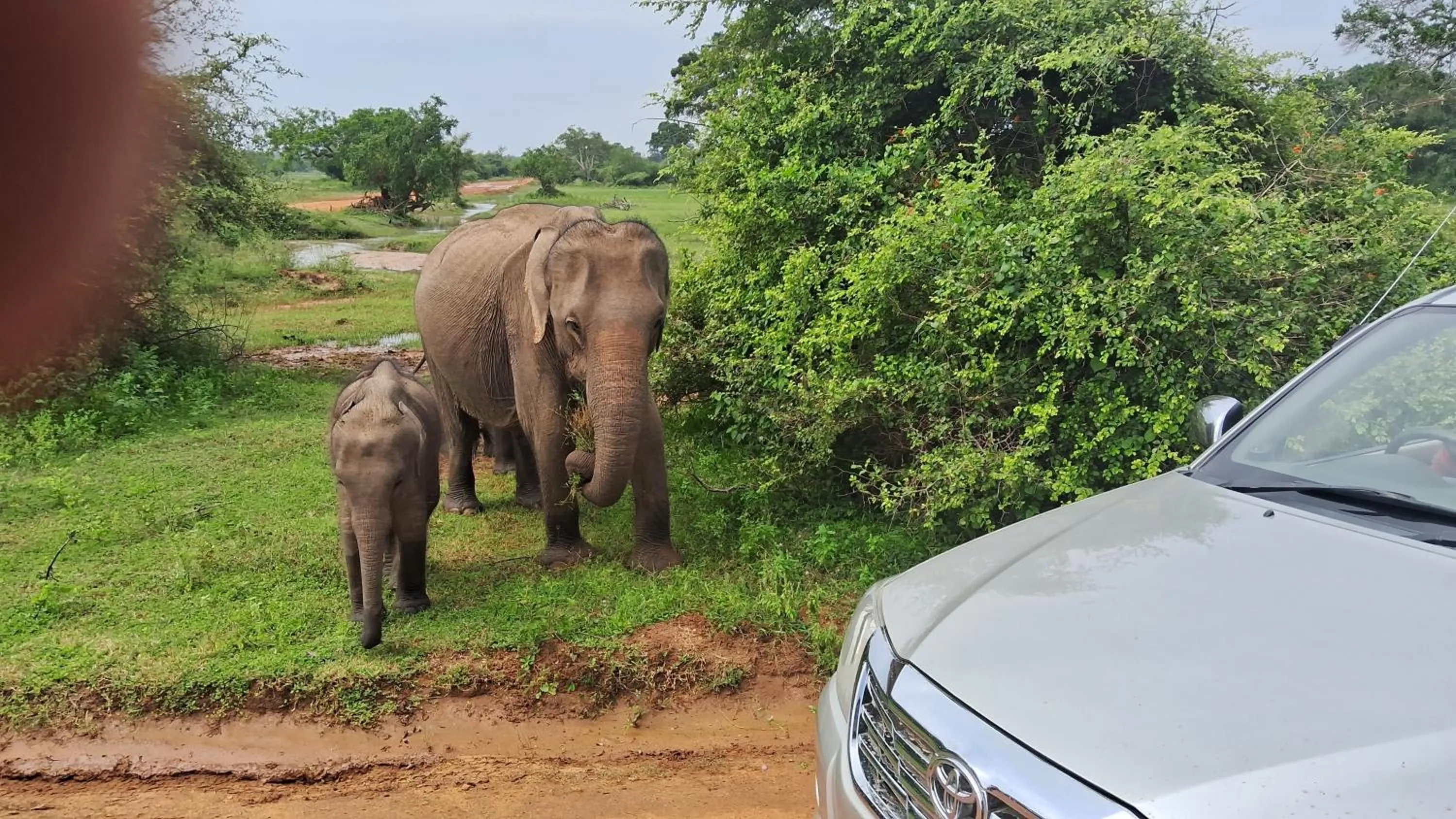 RKO Villa27 - Unawatuna