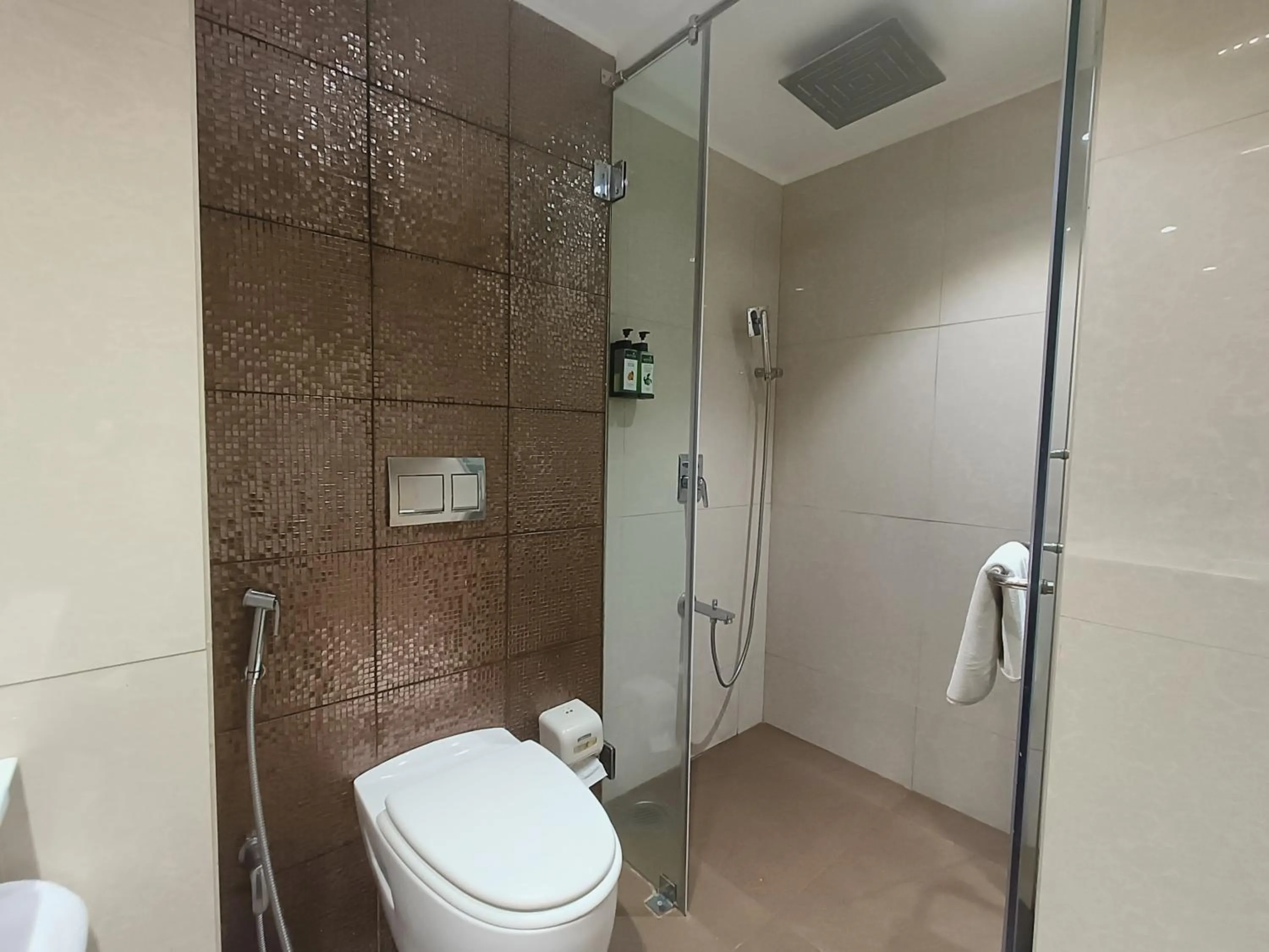 Shower in Effotel By Sayaji Indore