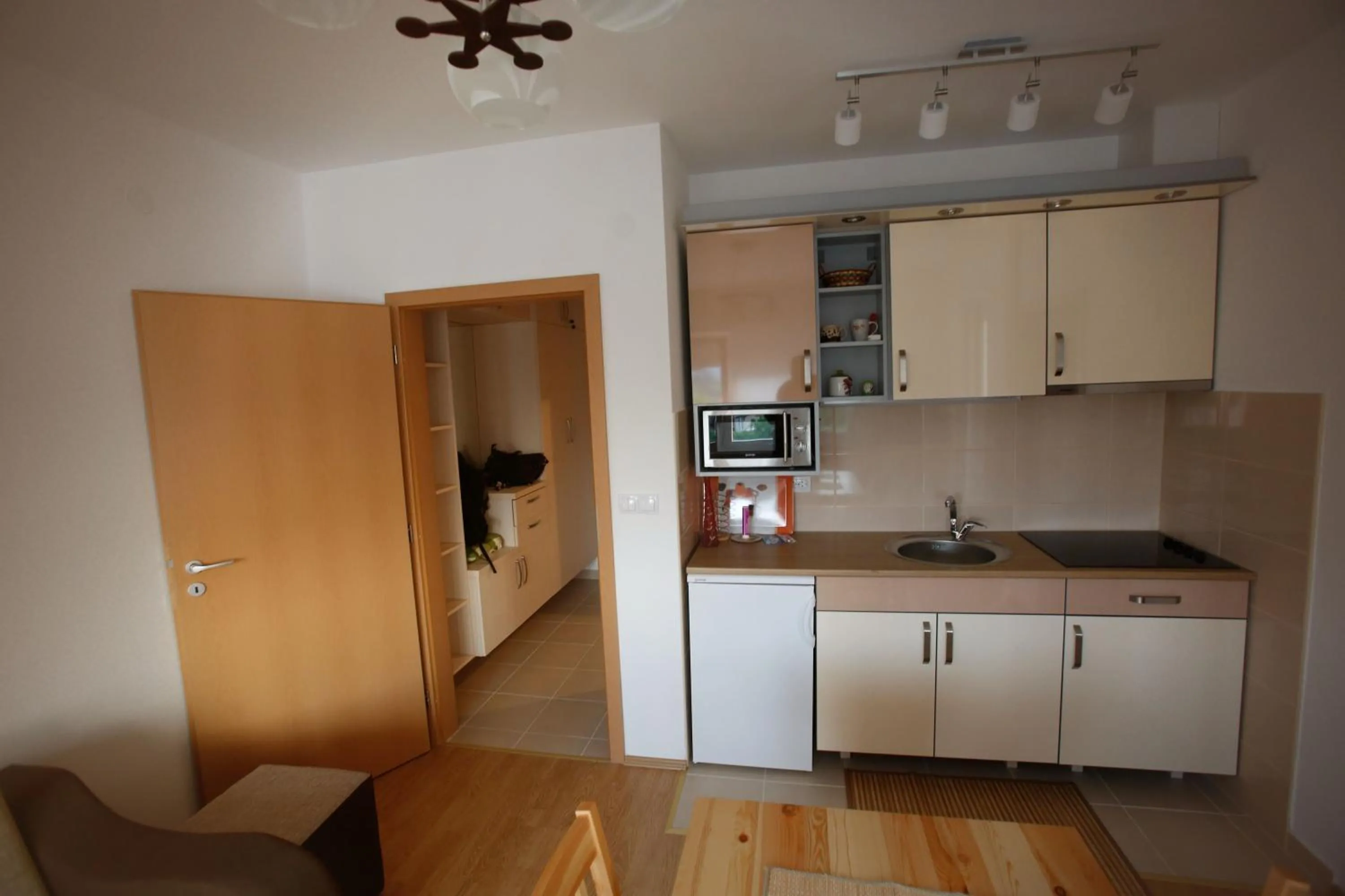 Kitchen or kitchenette in Maslačak, dvosobni