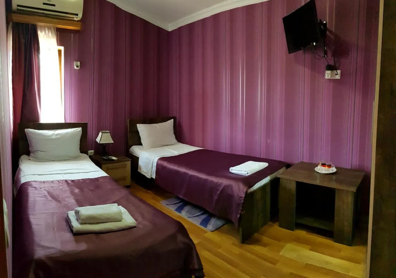 Standard Twin Room with City View in Bonus Hotel