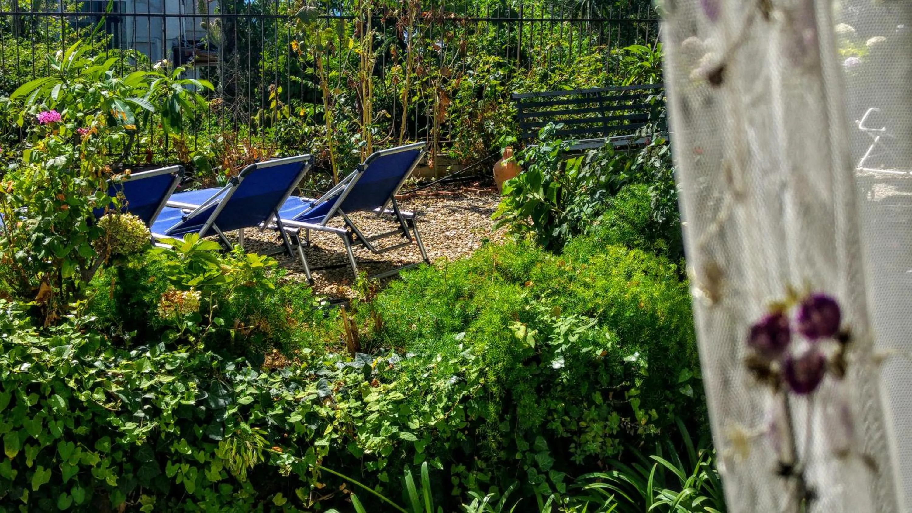 Day in Villa Ortensia