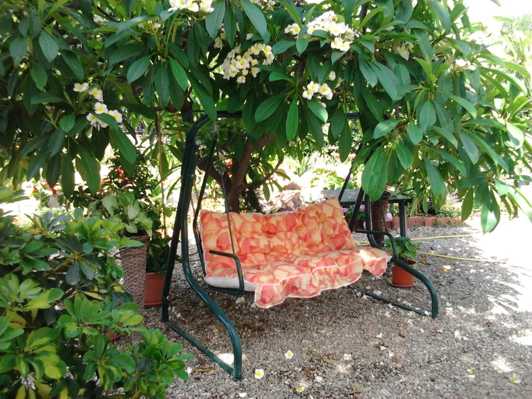 Garden in Villa Ortensia