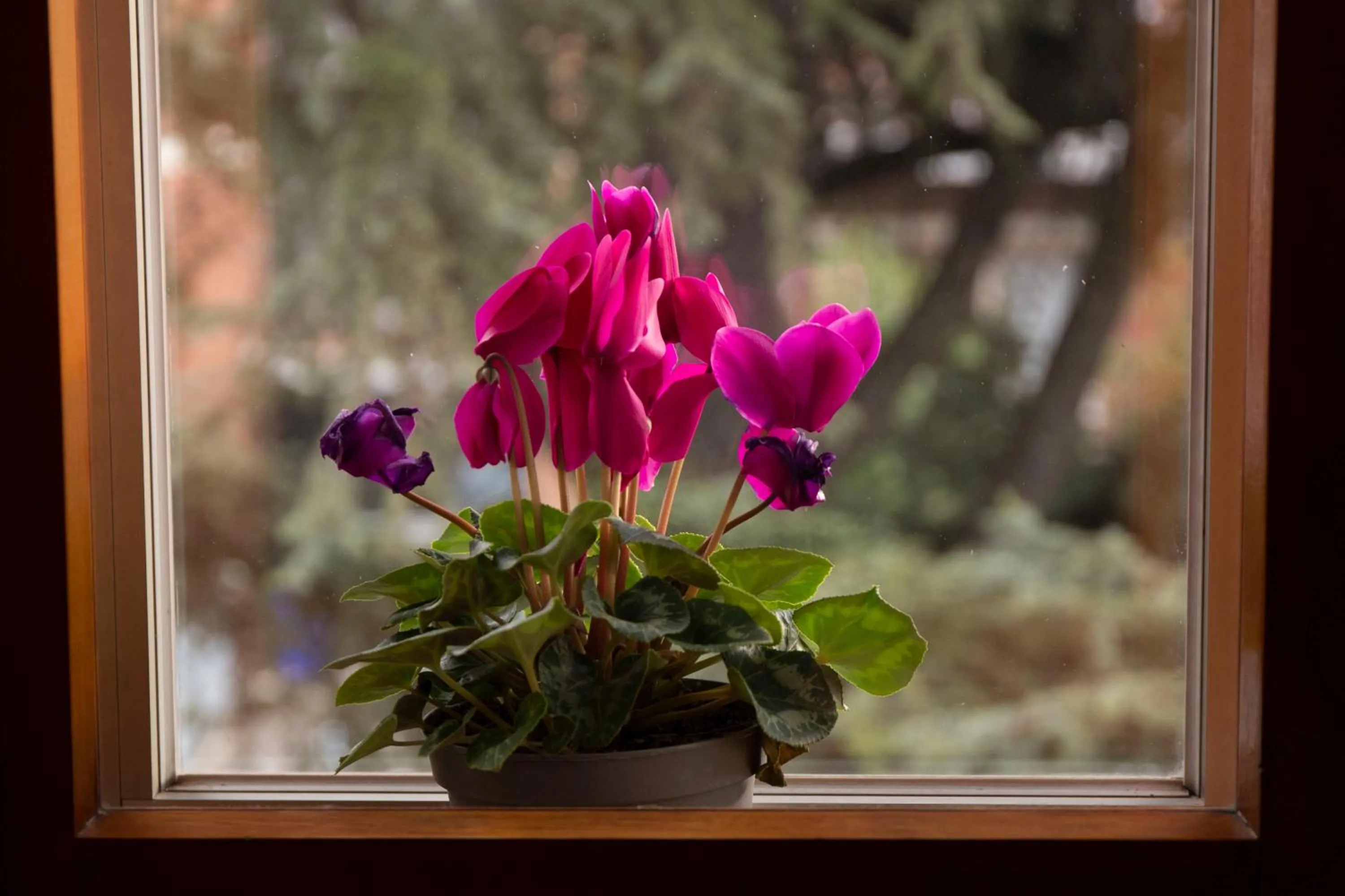 Decorative detail in Casa Giuly