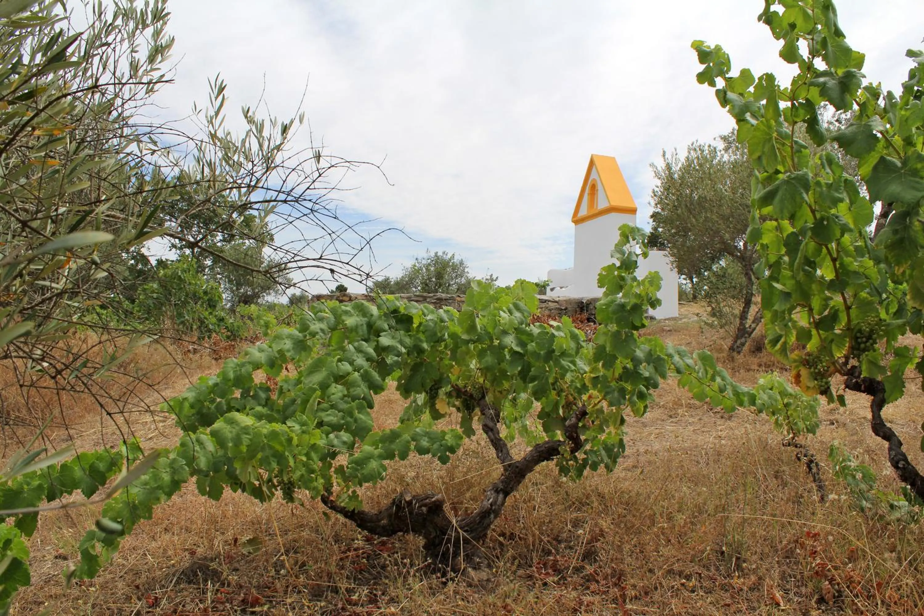 Facade/entrance in Cabecas do Reguengo