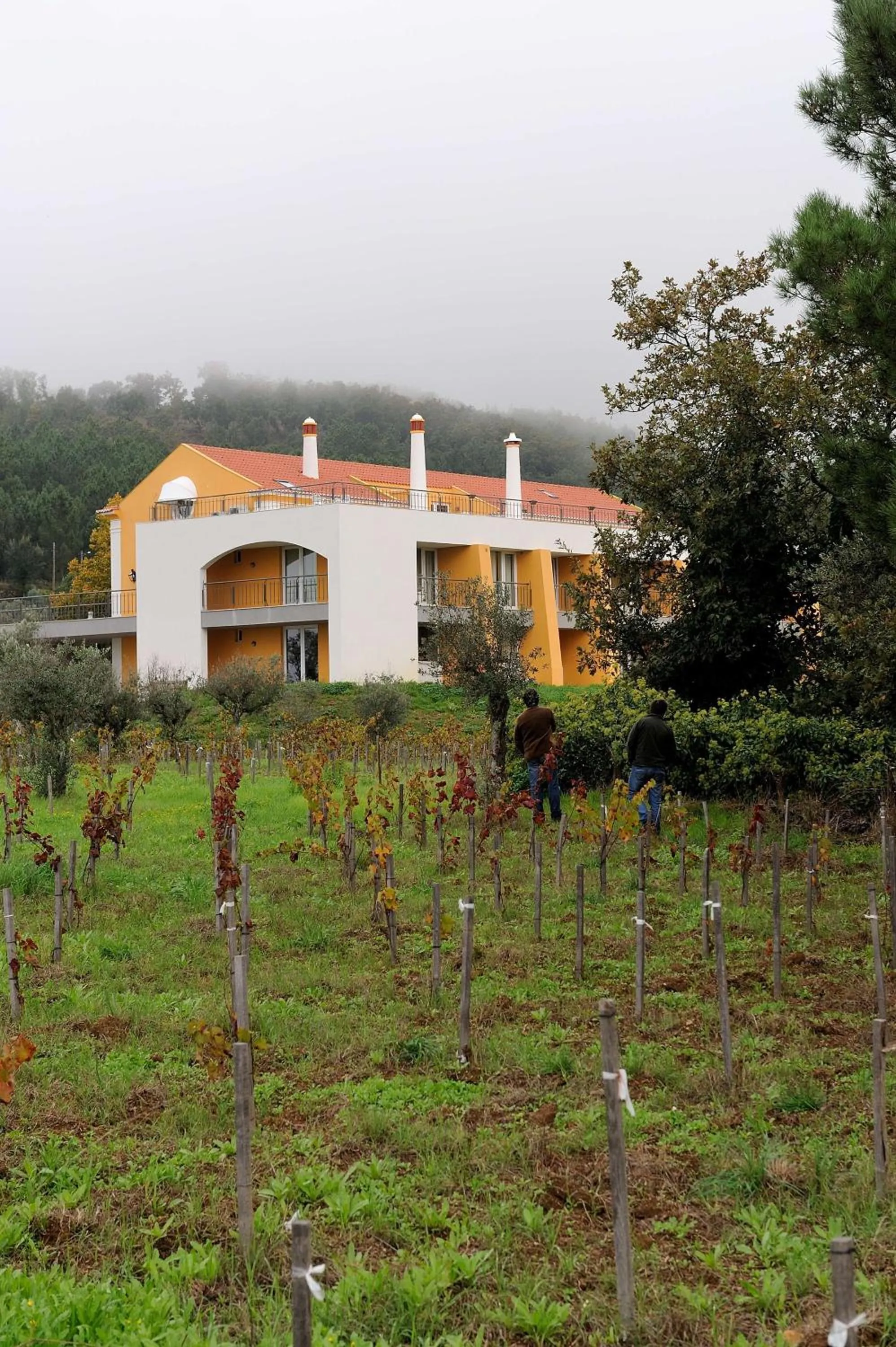 Area and facilities in Cabecas do Reguengo