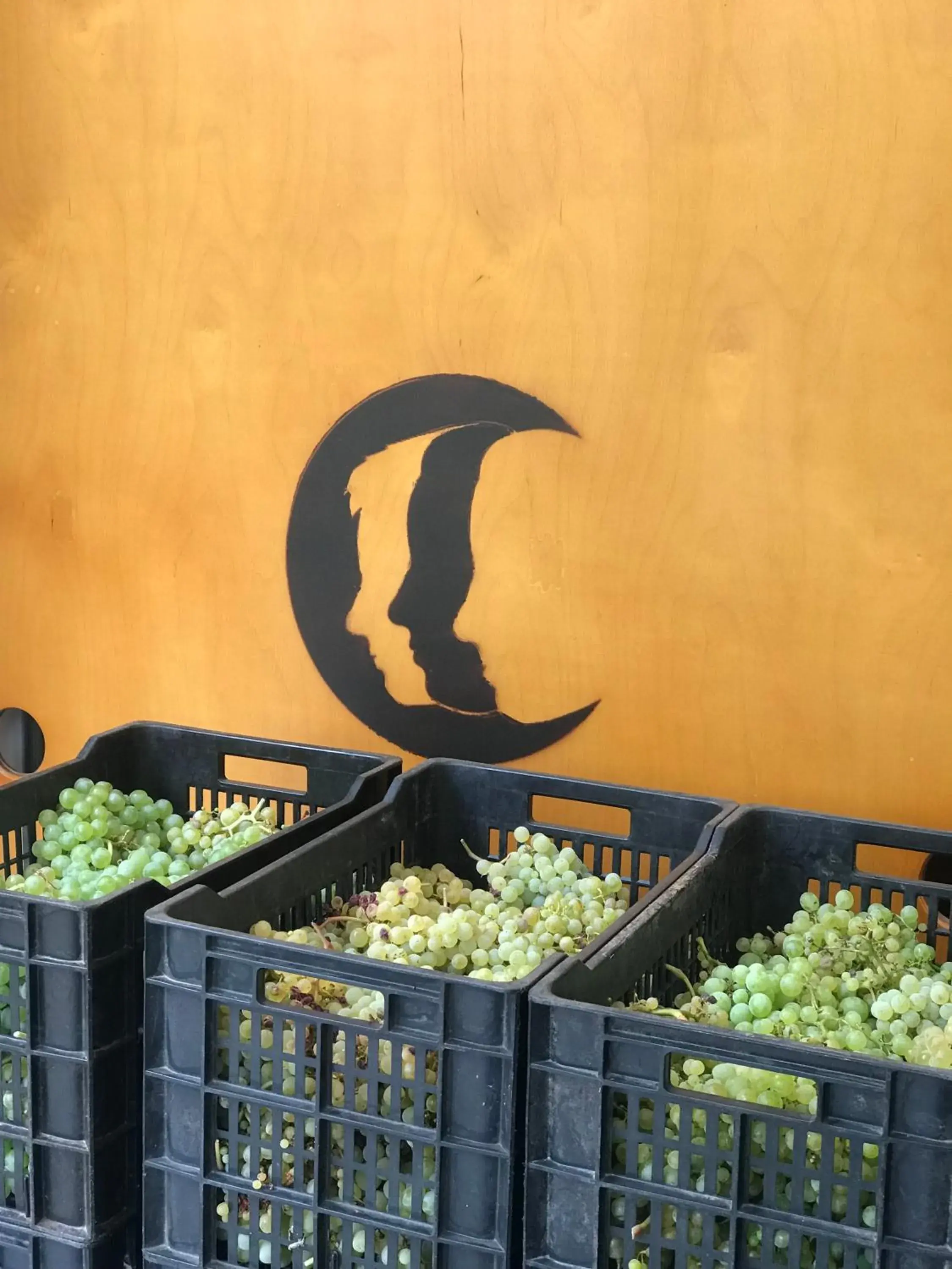 Food and drinks in Cabecas do Reguengo Food and drinks in Cabecas do Reguengo