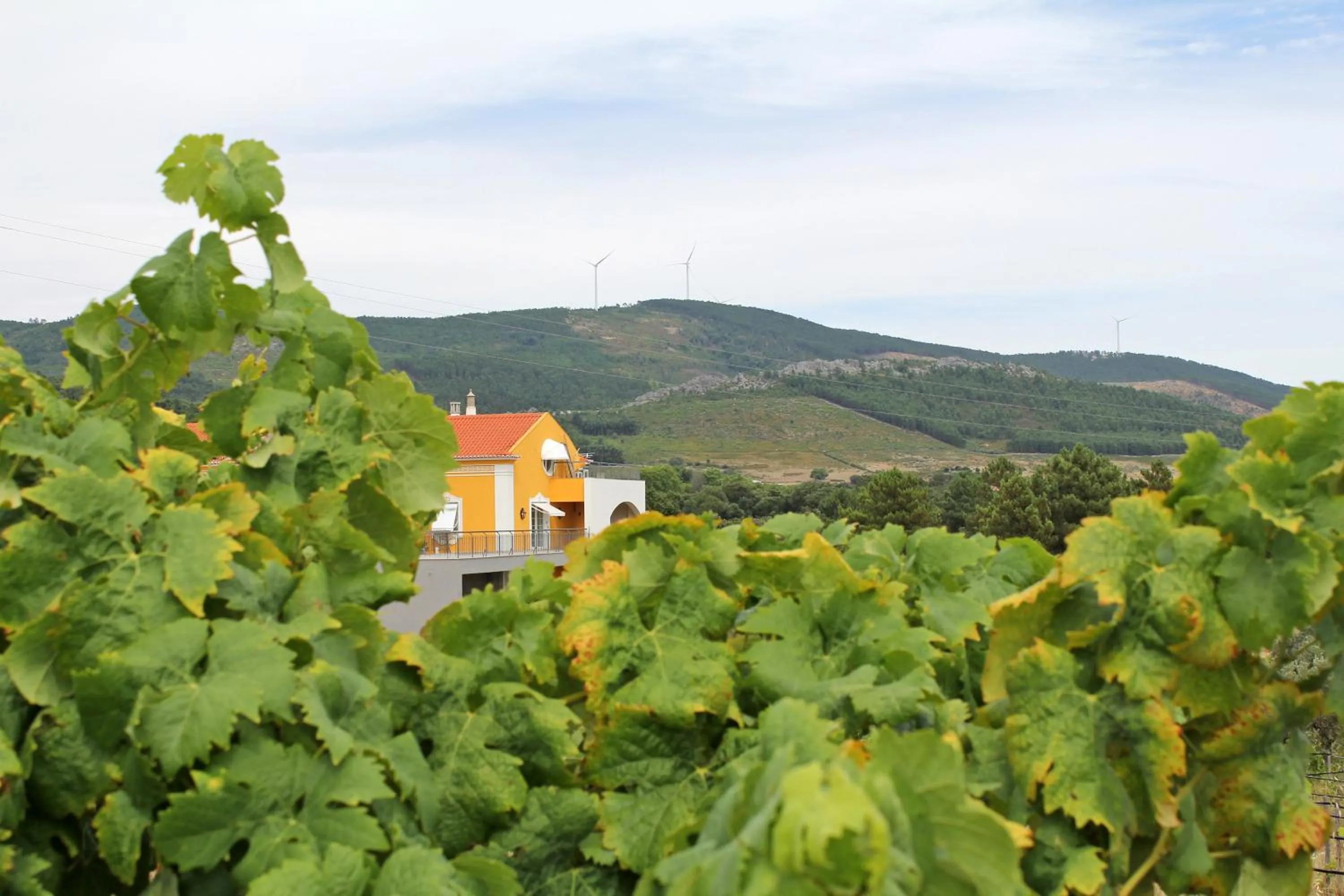 Facade/entrance in Cabecas do Reguengo