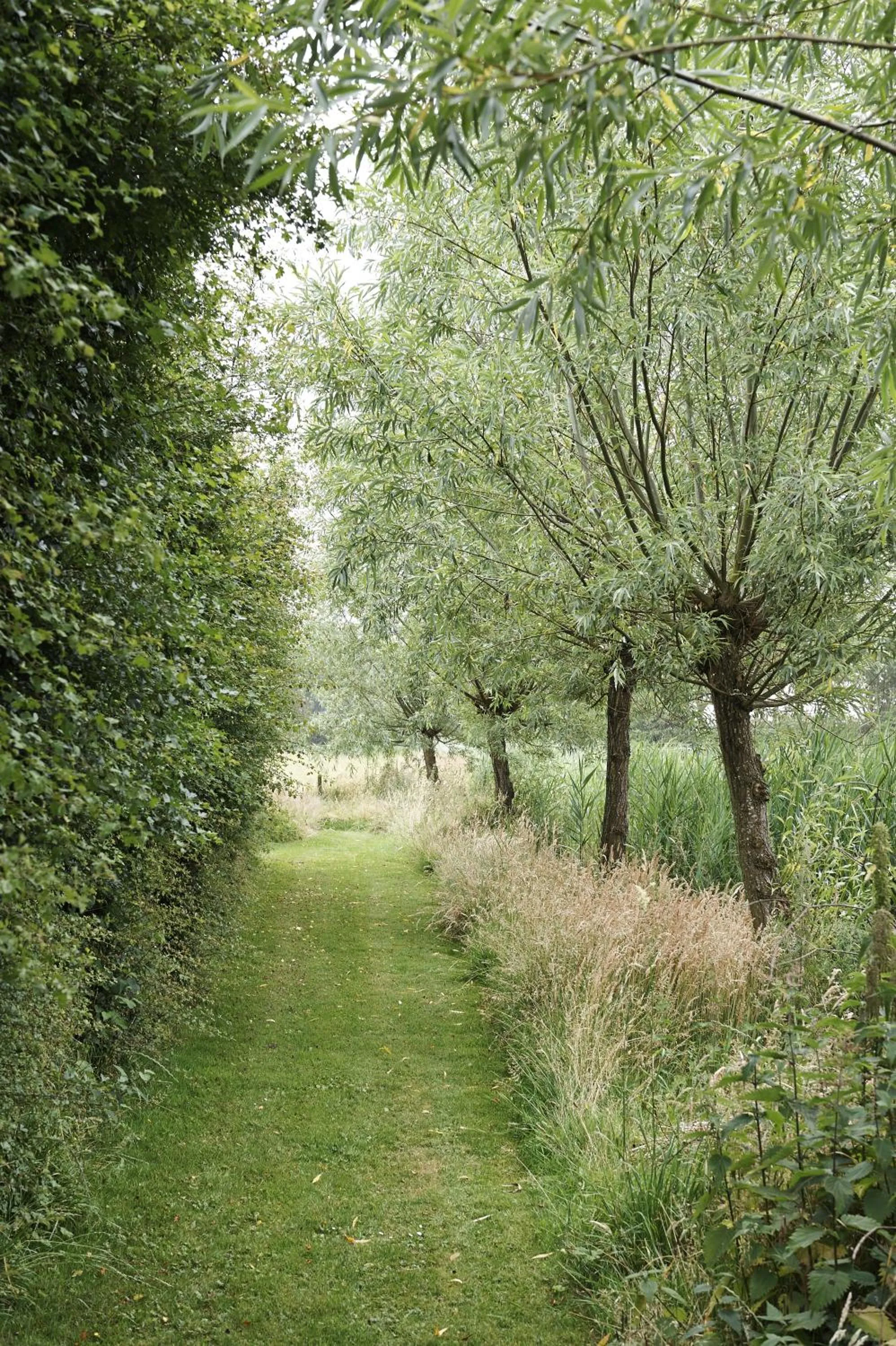 Natural landscape in Villa Magnolia