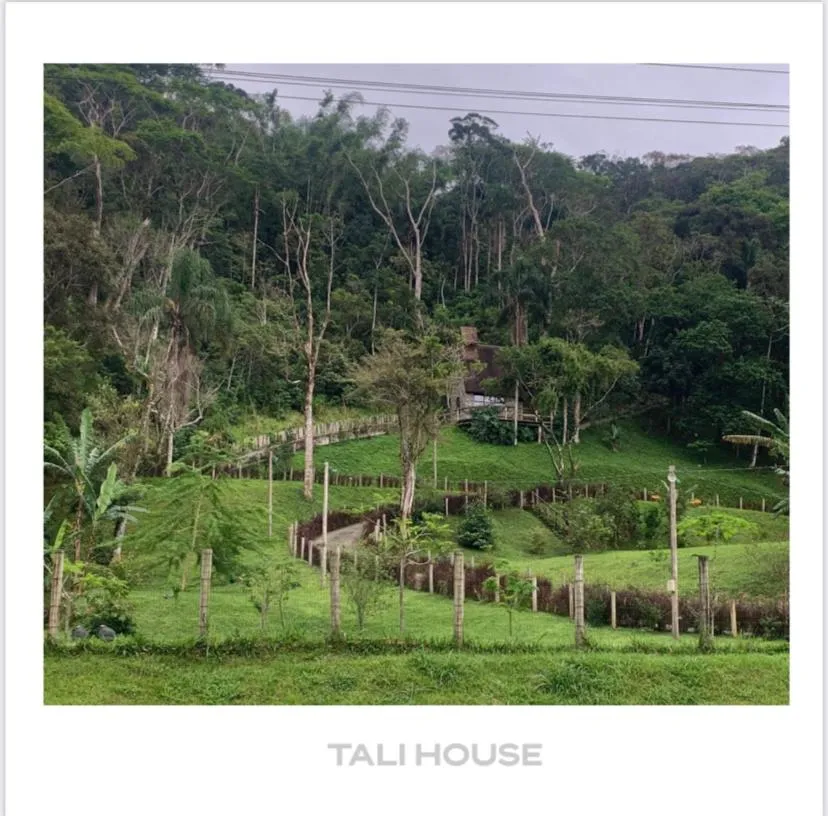 Day in TALI HOUSE - Casa Hotel