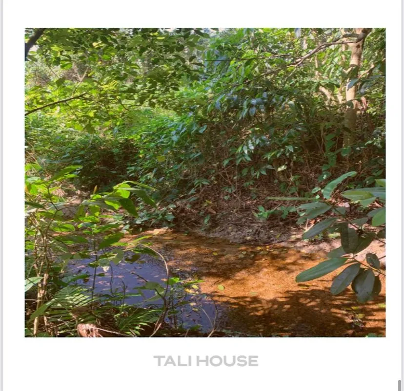 Natural landscape in TALI HOUSE - Casa Hotel