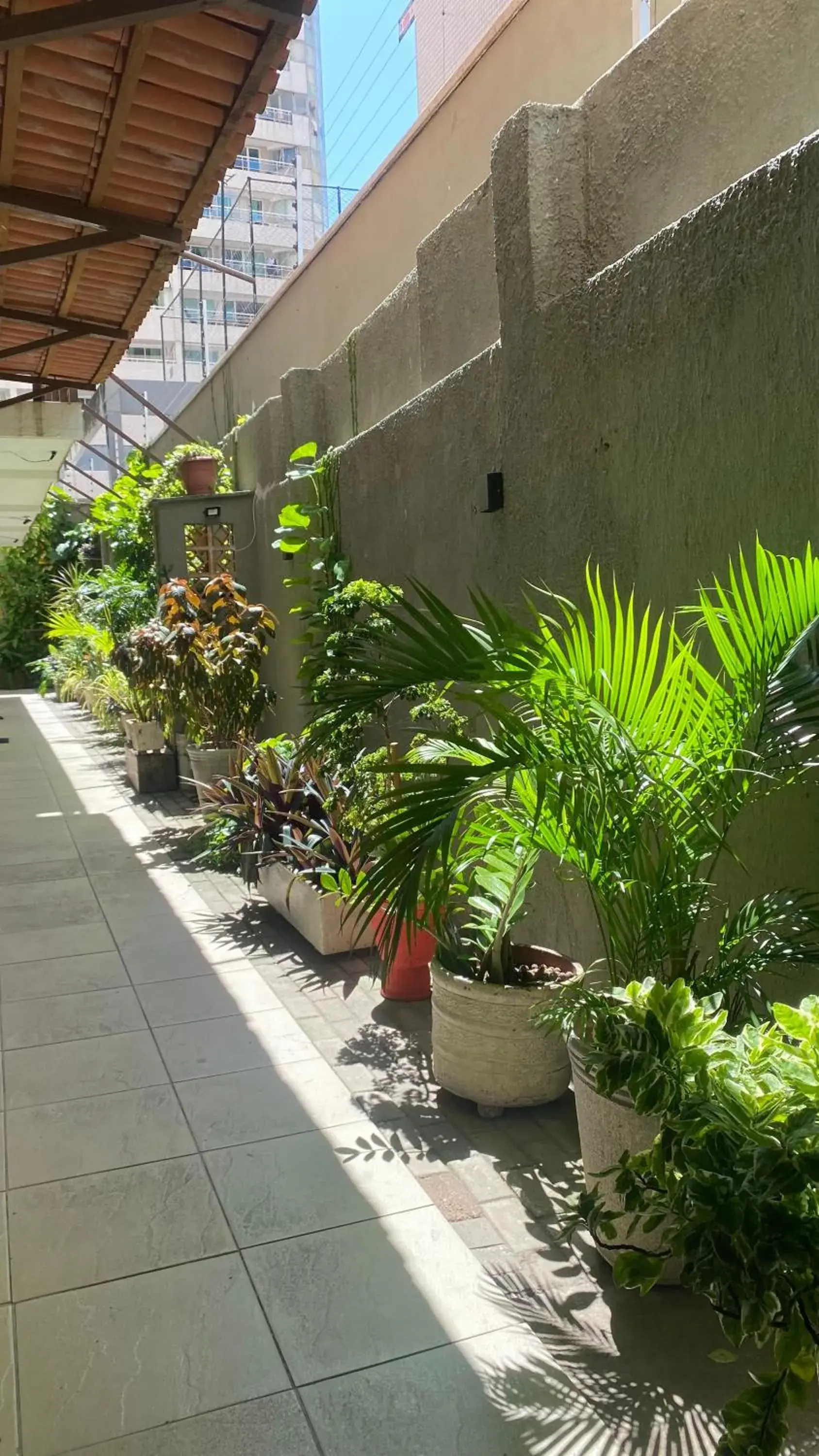 Garden view in Ocean Praia Hotel Garden view in Ocean Praia Hotel