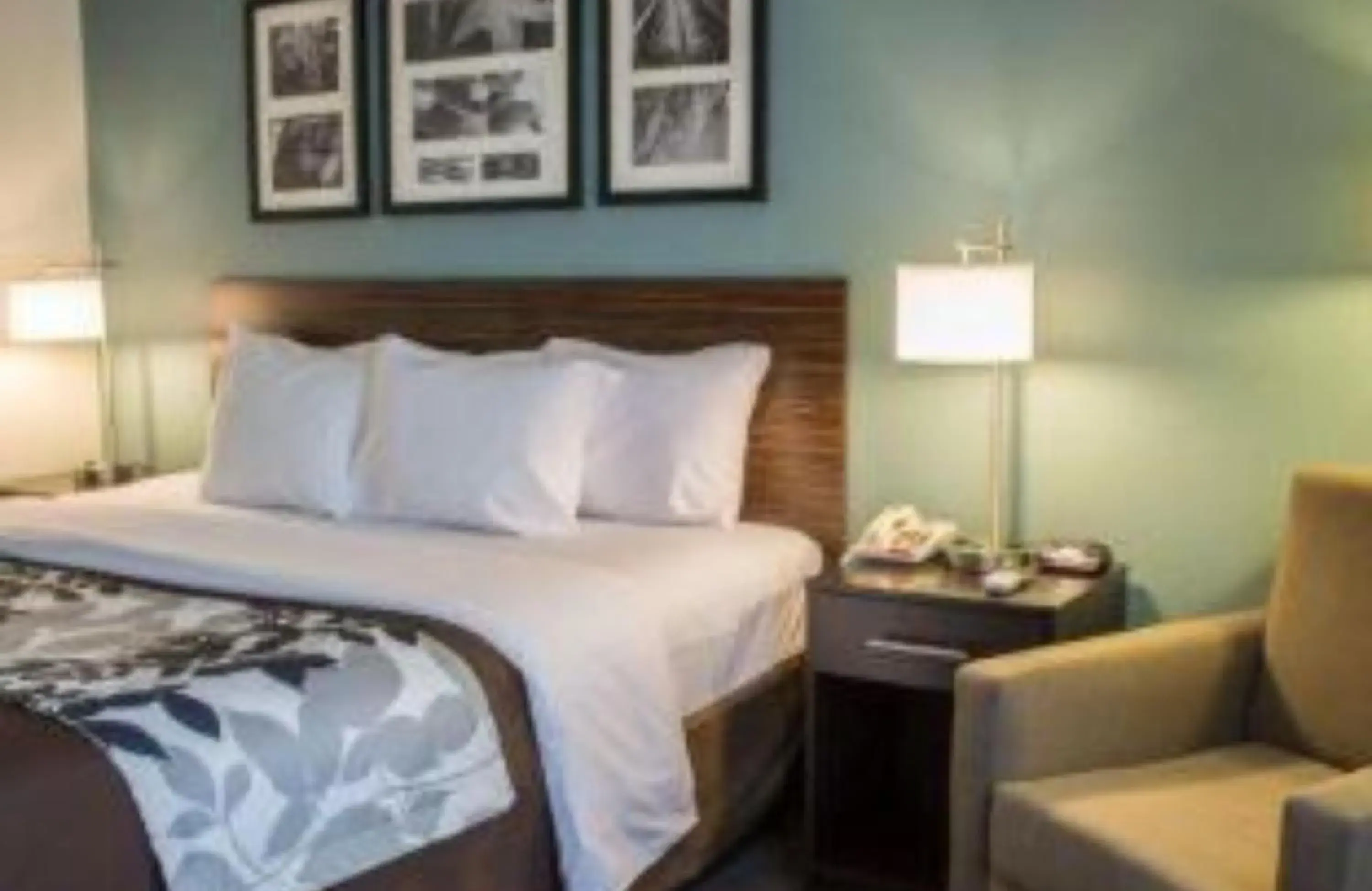 Bedroom in Best Western Cambridge Bedroom in Best Western Cambridge