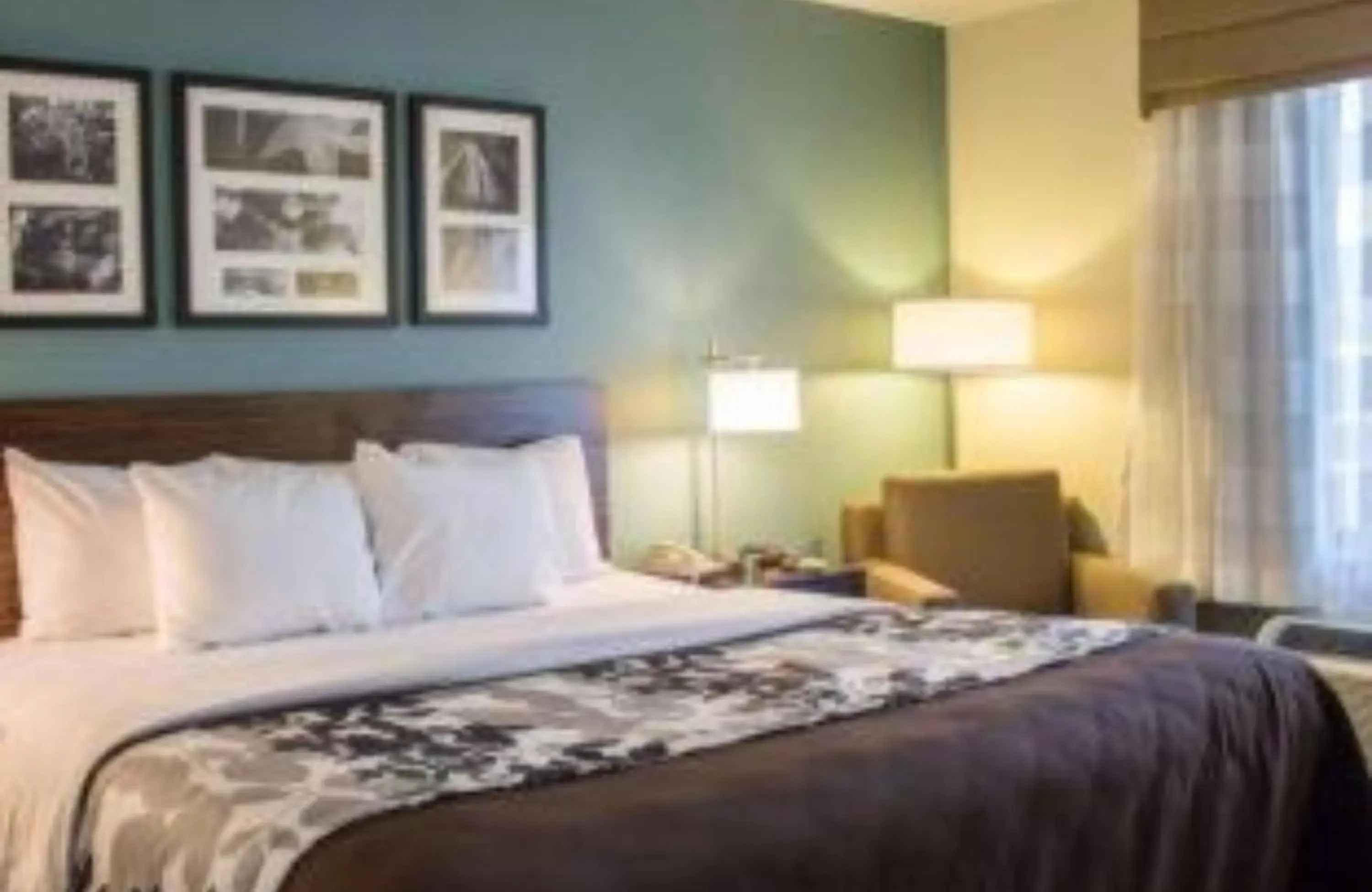 Bedroom in SureStay by Best Western Cambridge Bedroom in SureStay by Best Western Cambridge