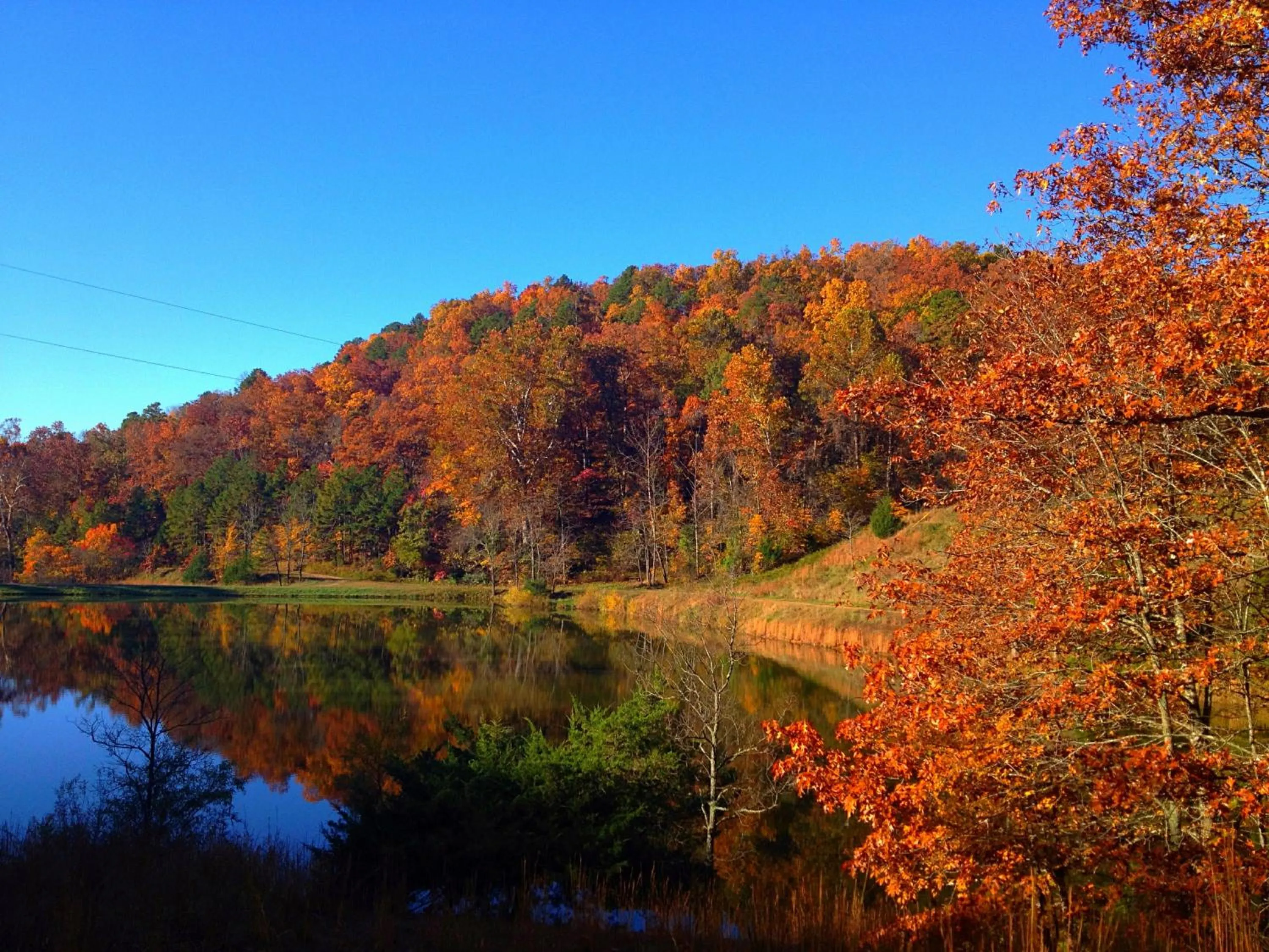 Natural landscape in Cinnamon Valley