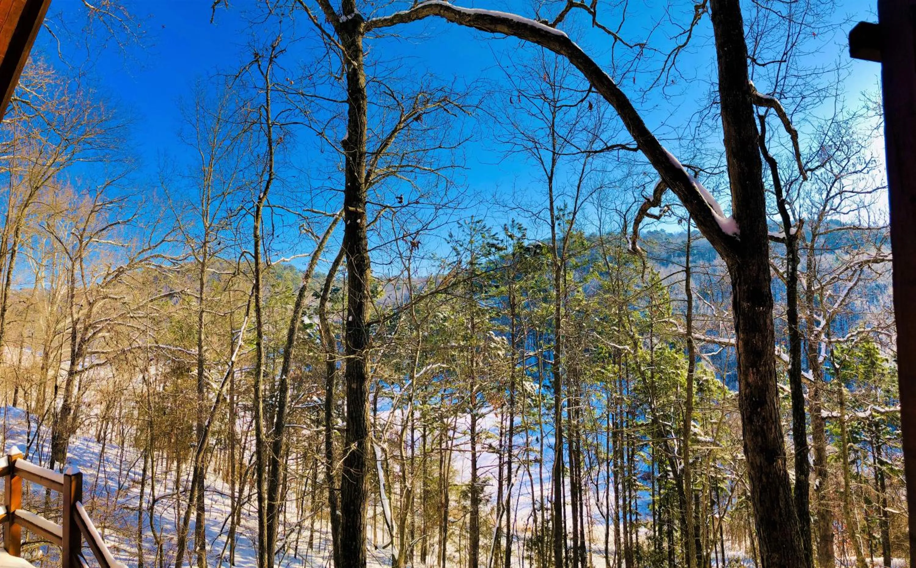 Natural landscape in Cinnamon Valley