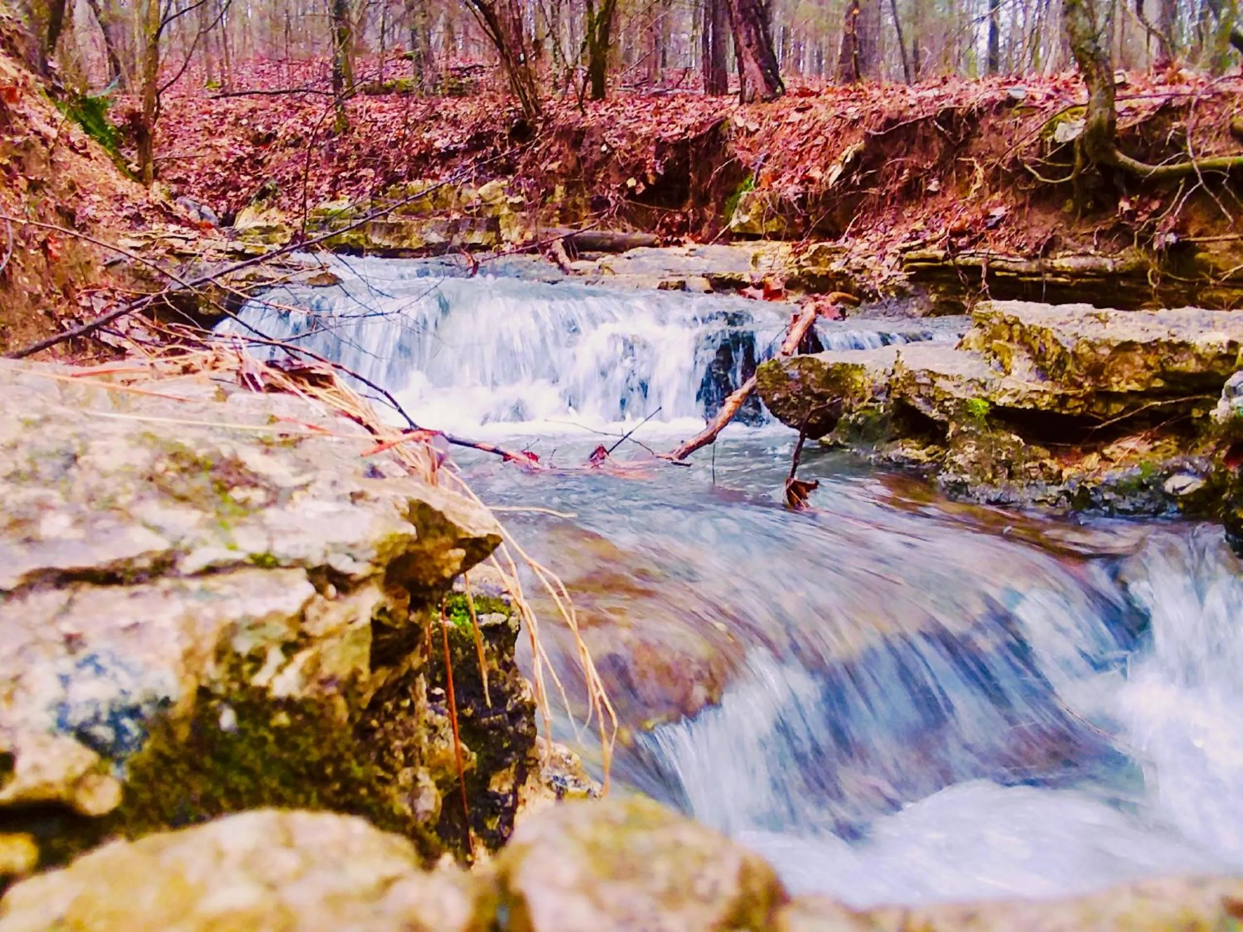View (from property/room) in Cinnamon Valley