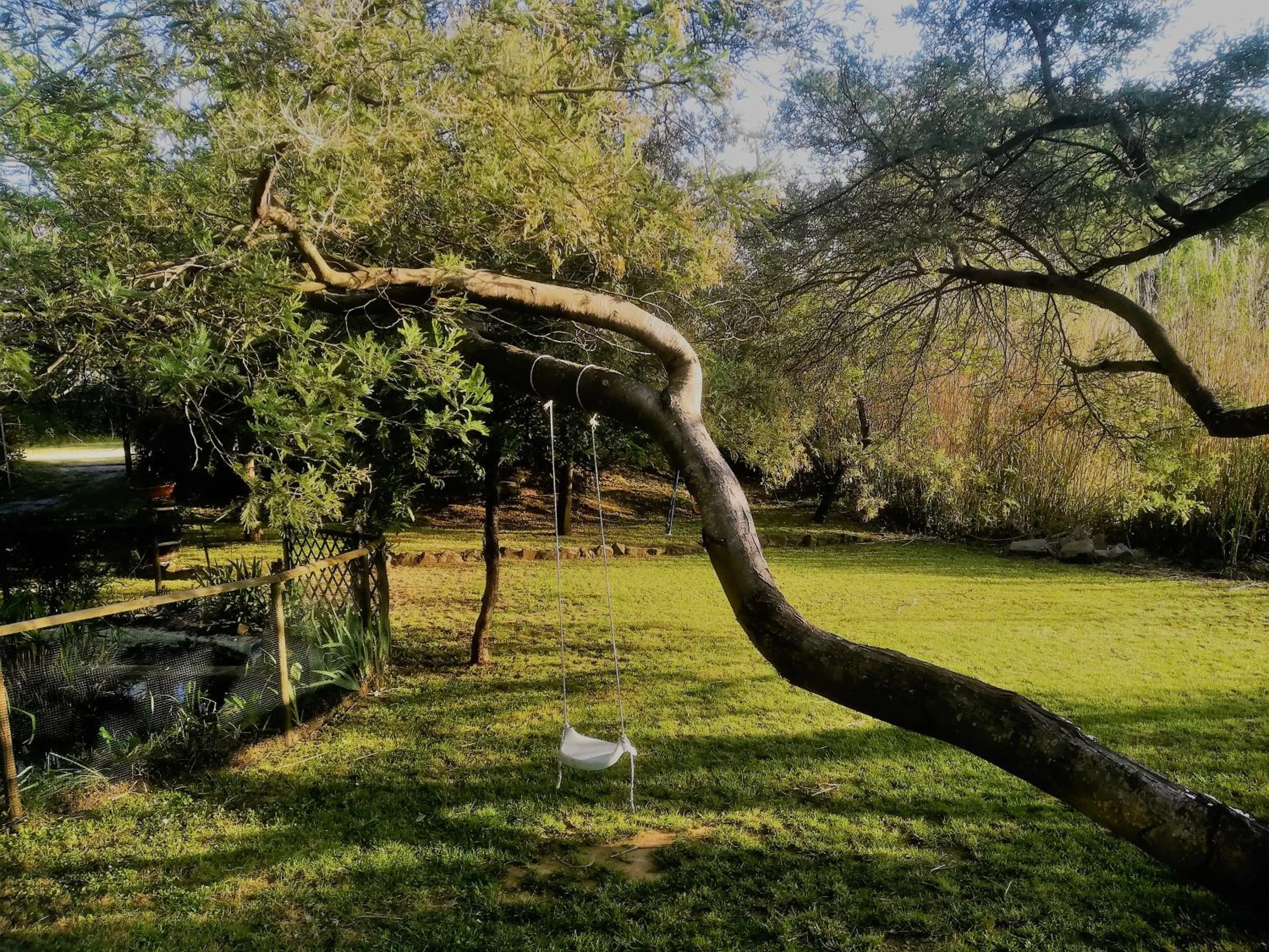 Garden in Le Mimose B&B