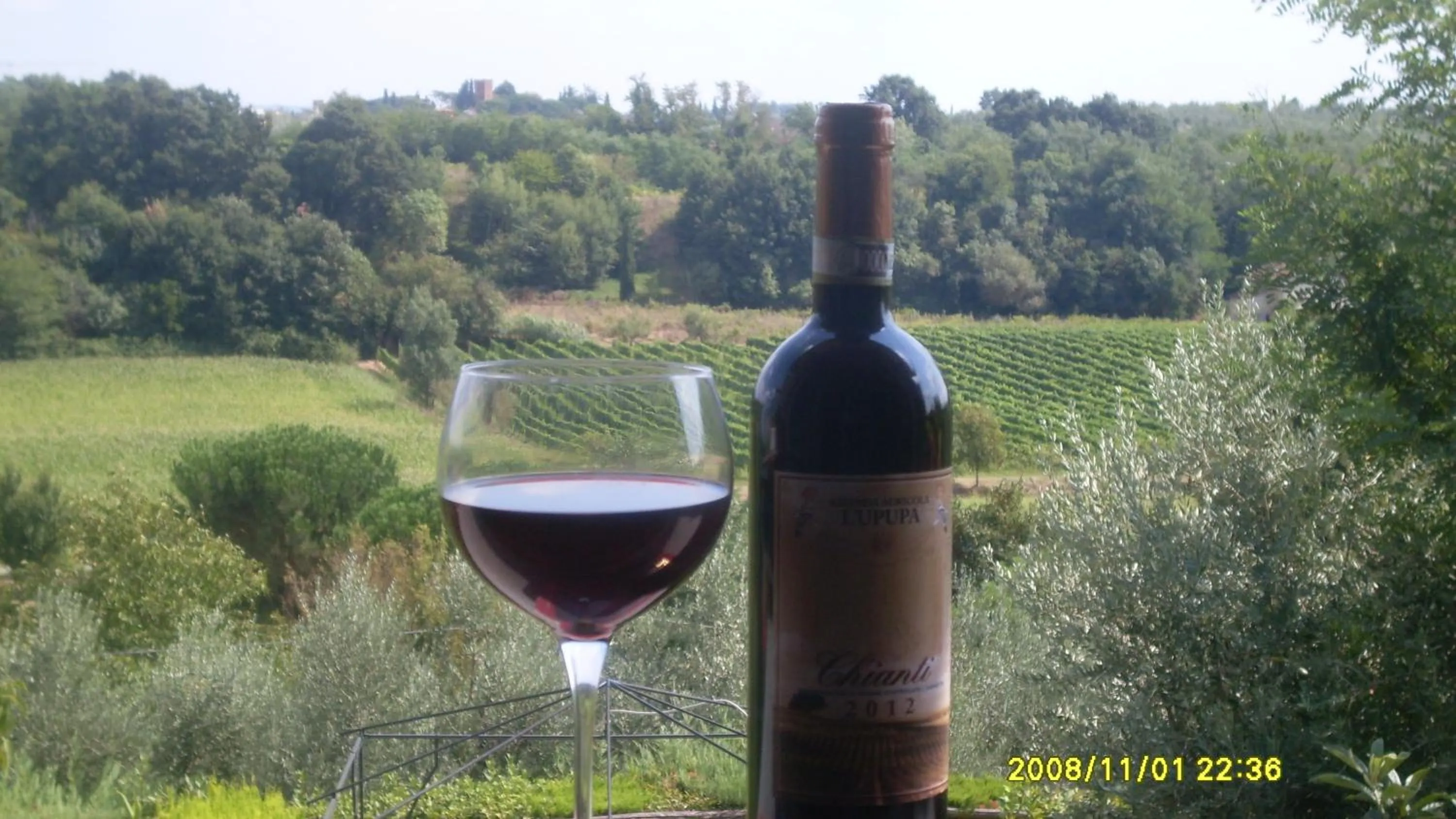 Food and drinks in Le Mimose B&B