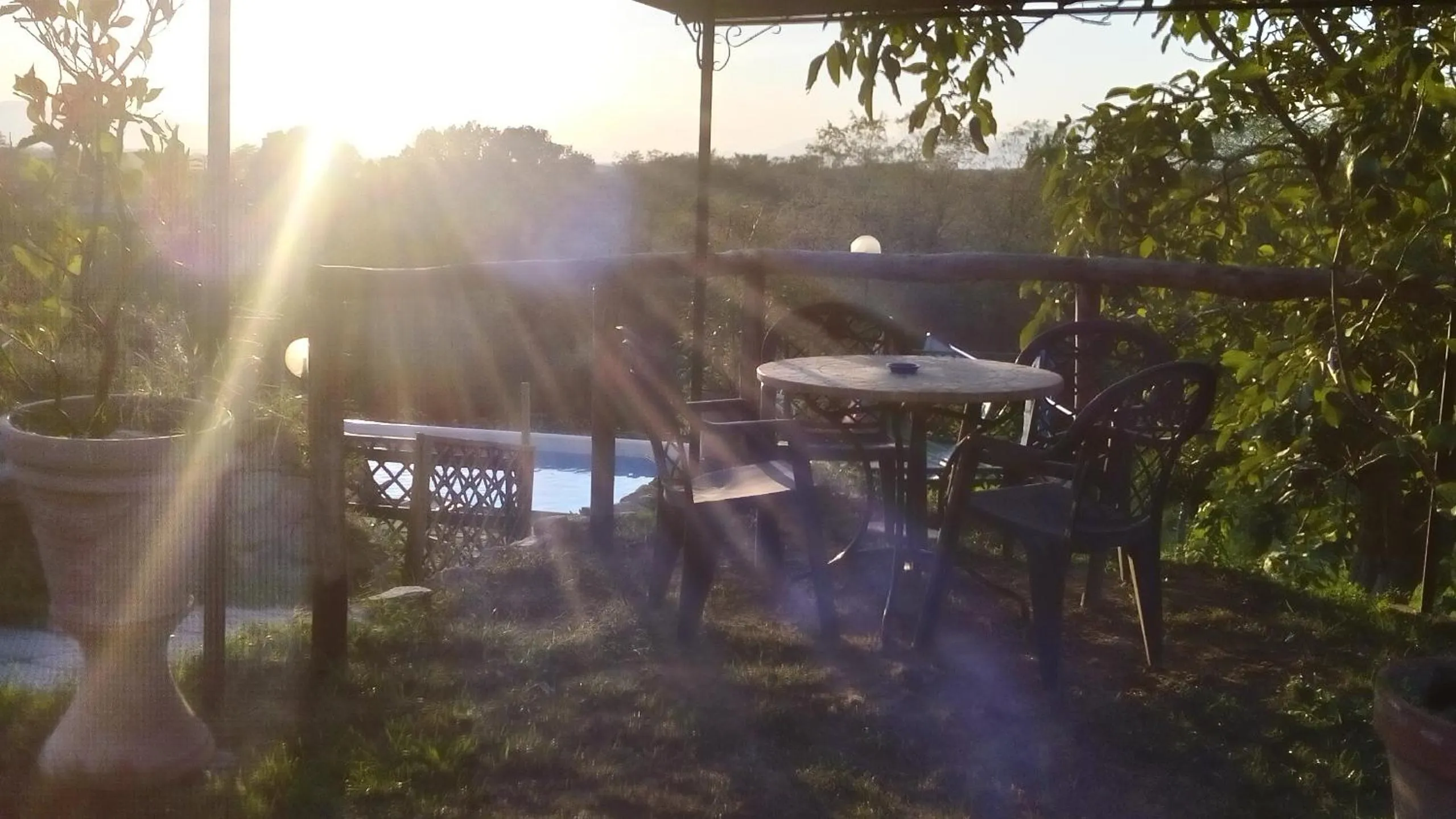 Garden in Le Mimose B&B