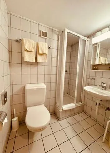 Shower in Swiss Lodge Joopi