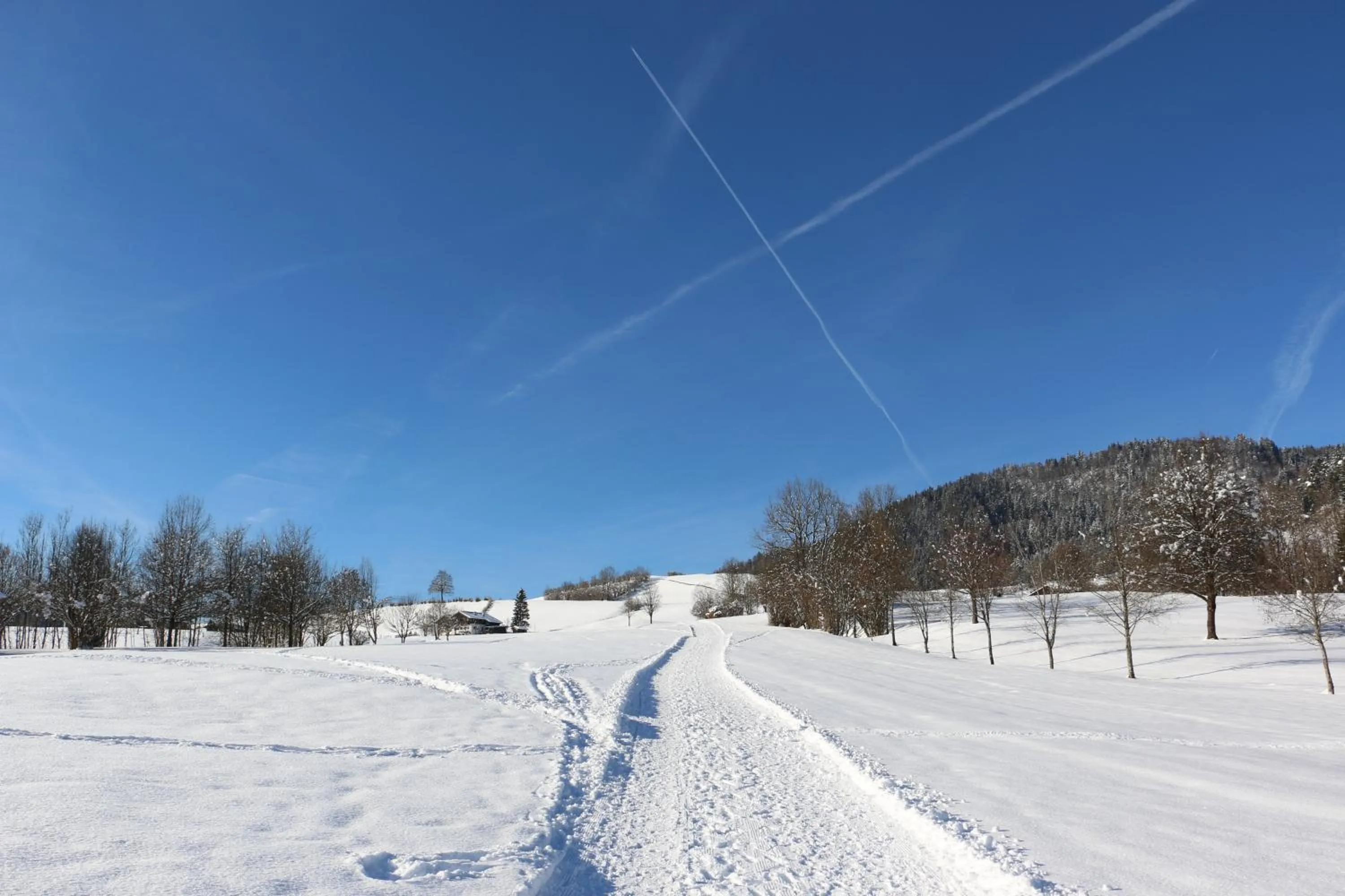 Natural landscape in DEVA Villa Mittermaier