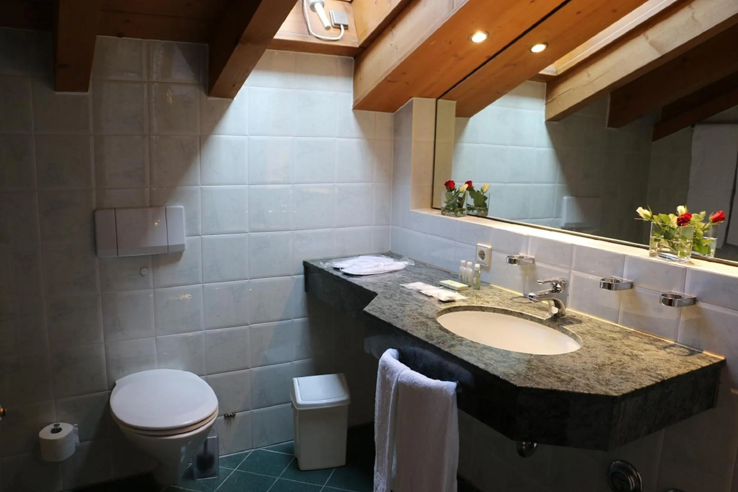 Bathroom in DEVA Villa Mittermaier